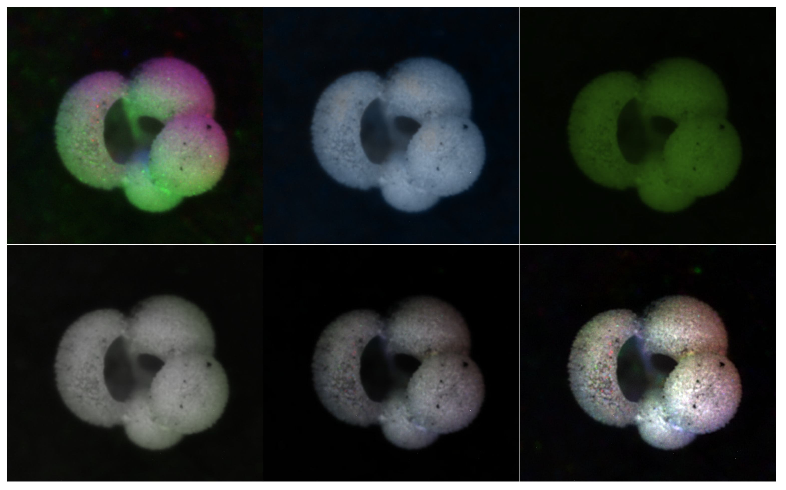 Signals 04 00028 g005