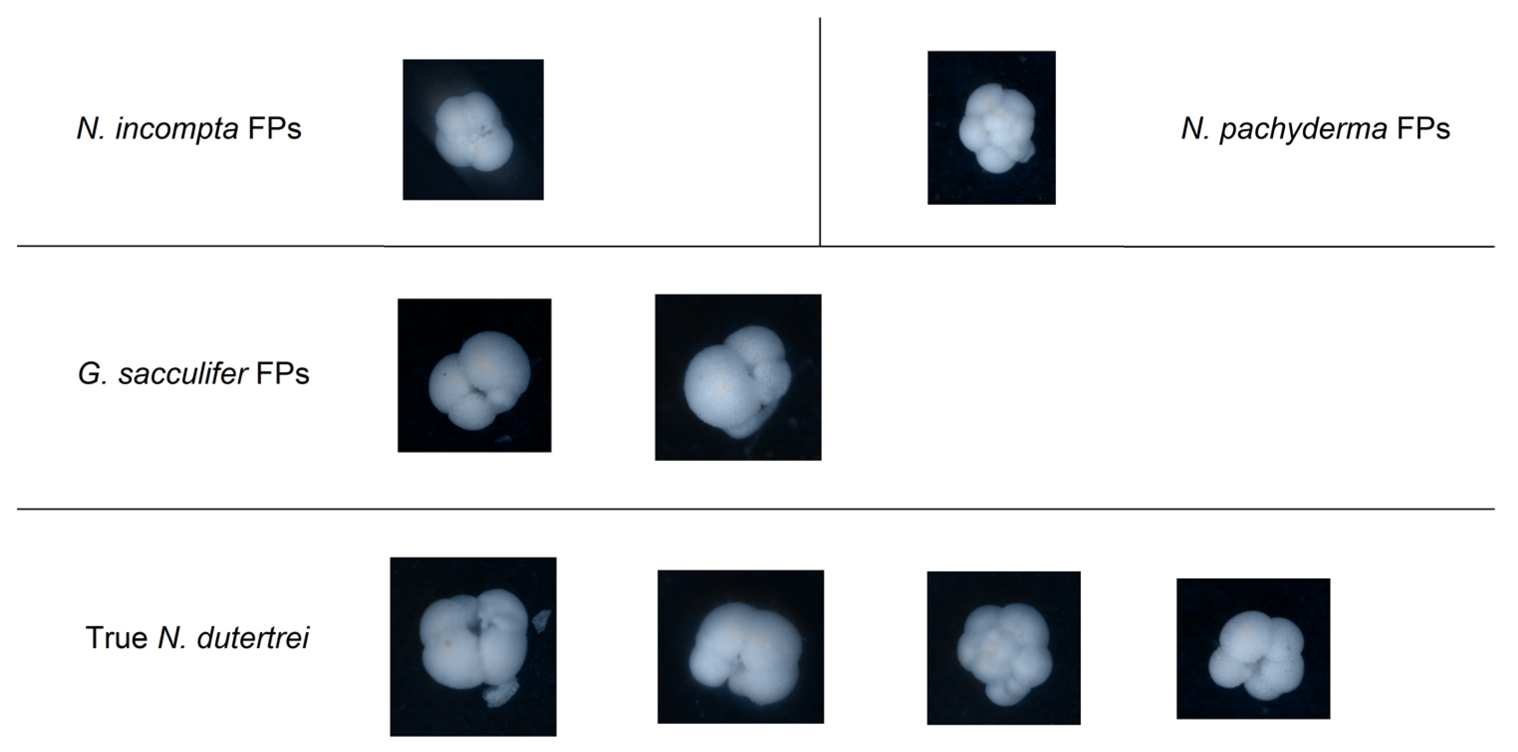 Signals 04 00028 g008