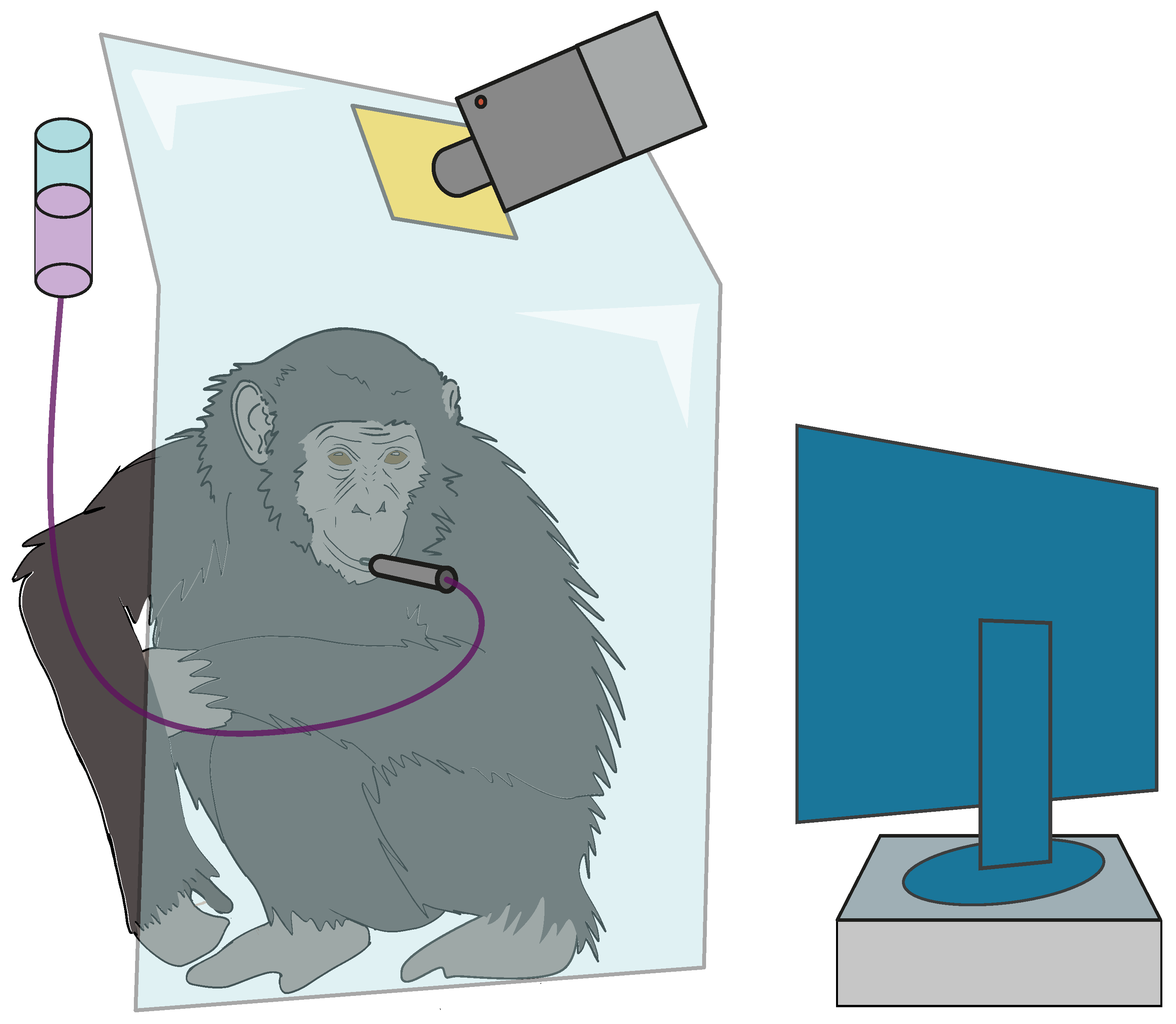 Signals 05 00008 g007