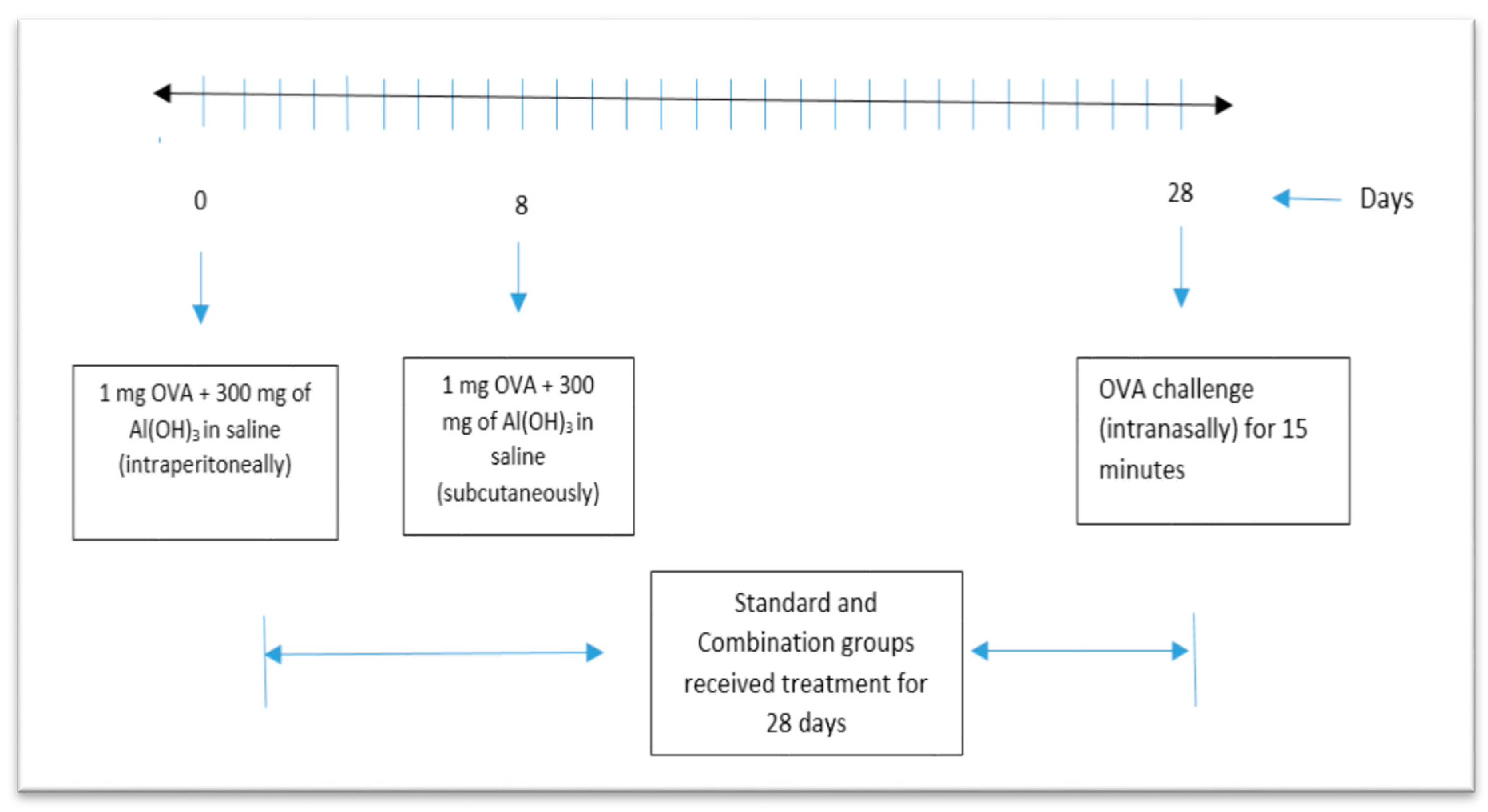 Sinusitis 05 00003 g001