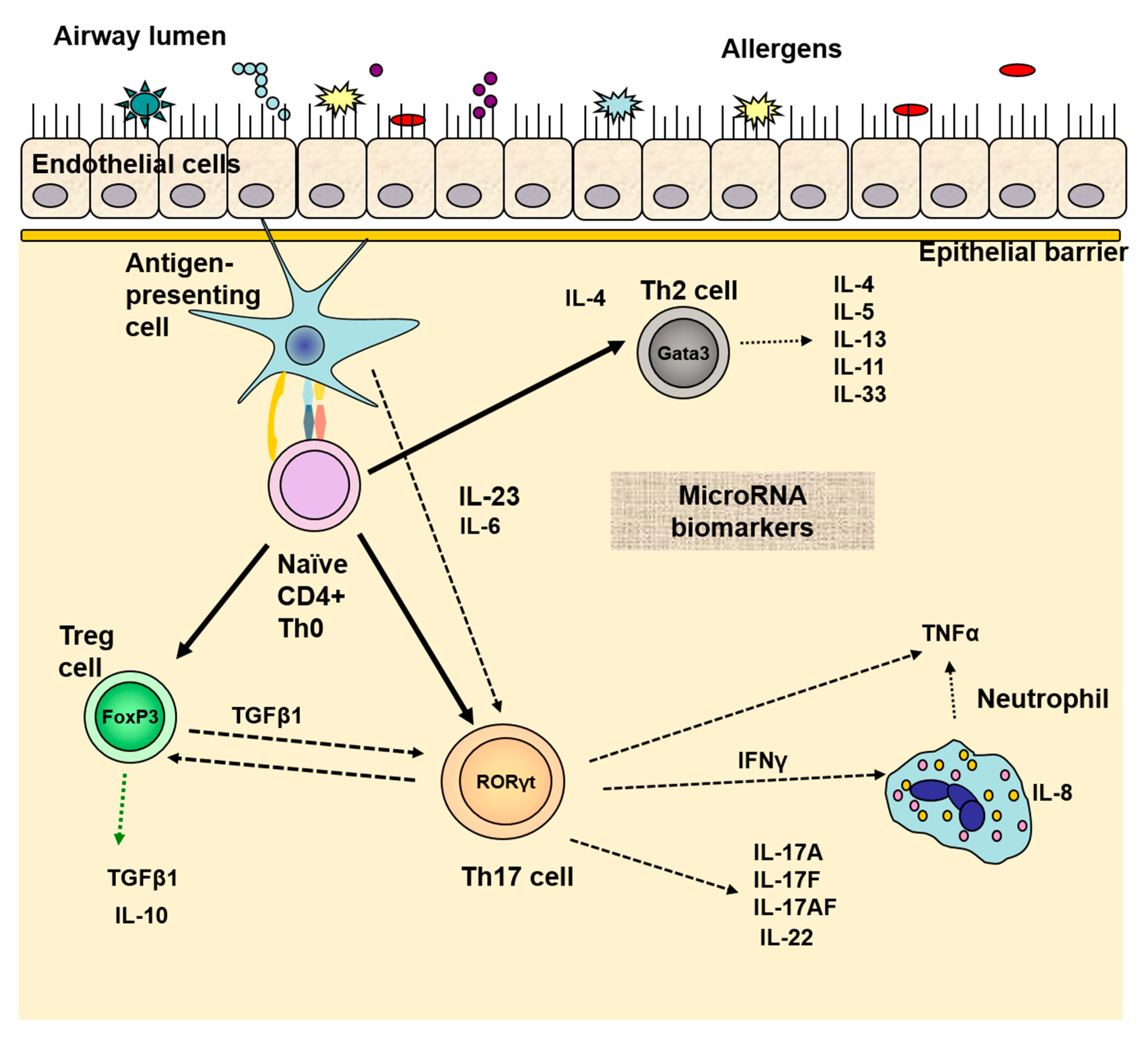 Sinusitis 05 00005 g001