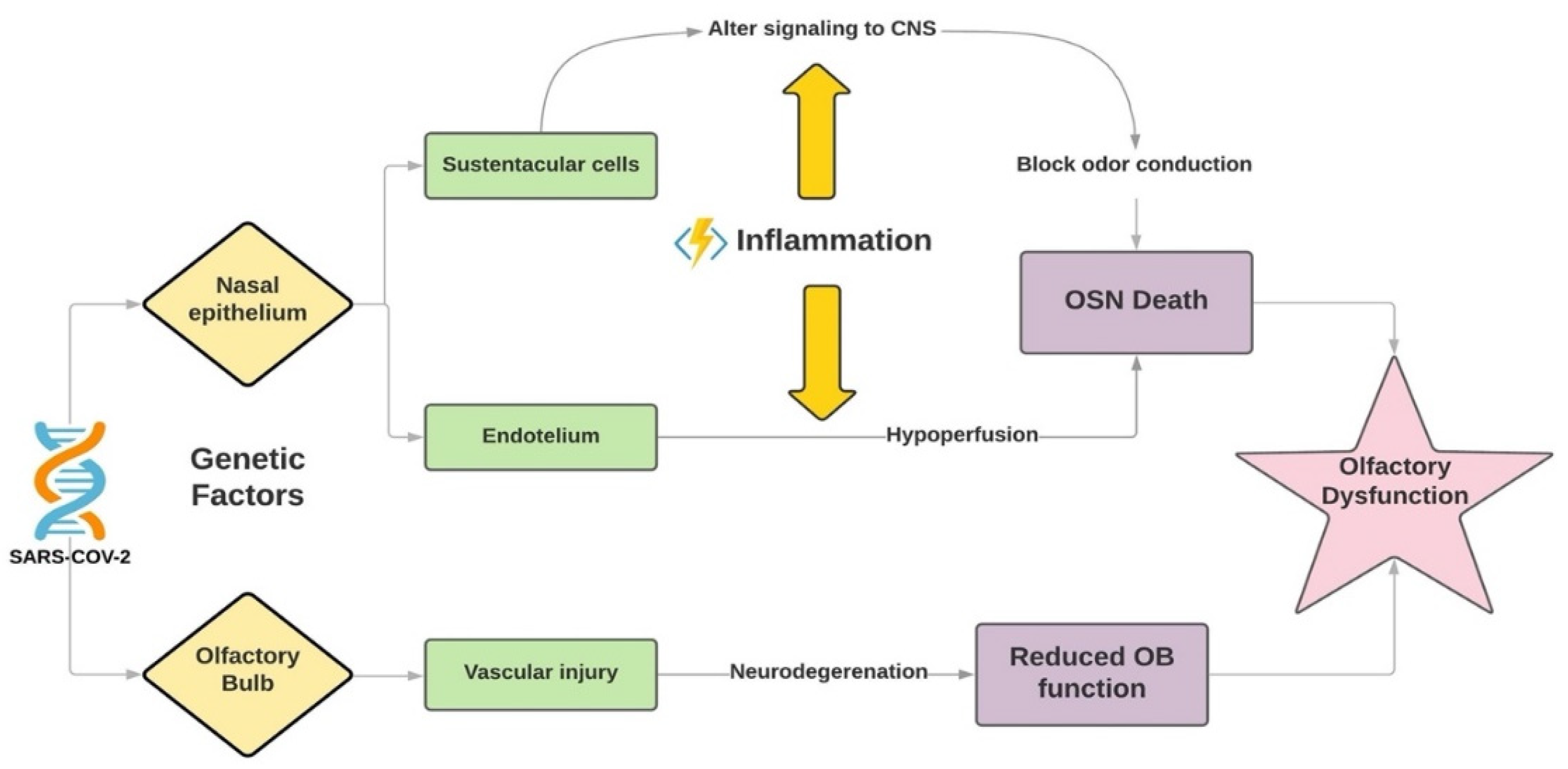 Sinusitis 05 00012 g001 550