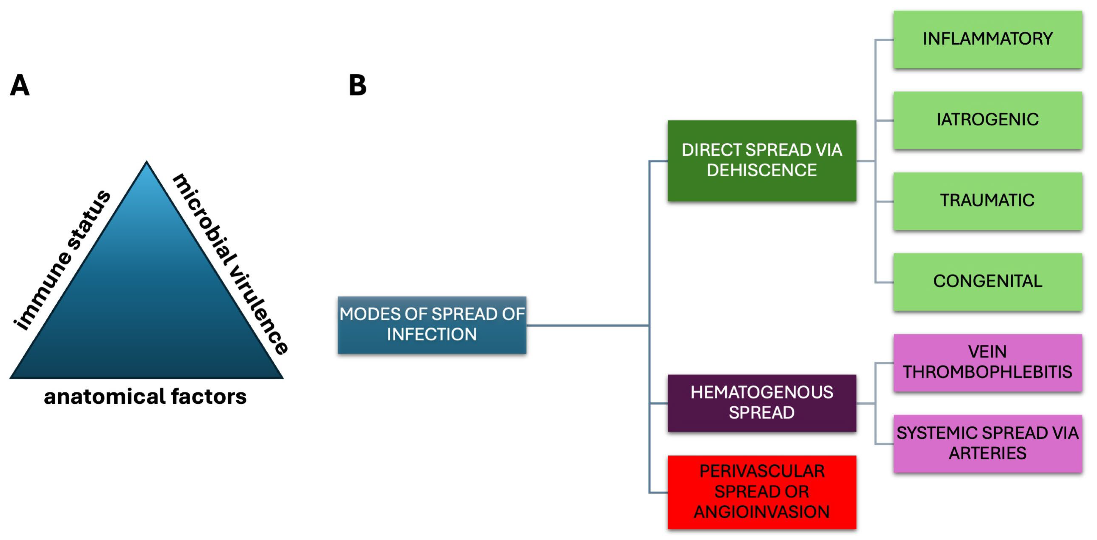 Sinusitis 09 00011 g003