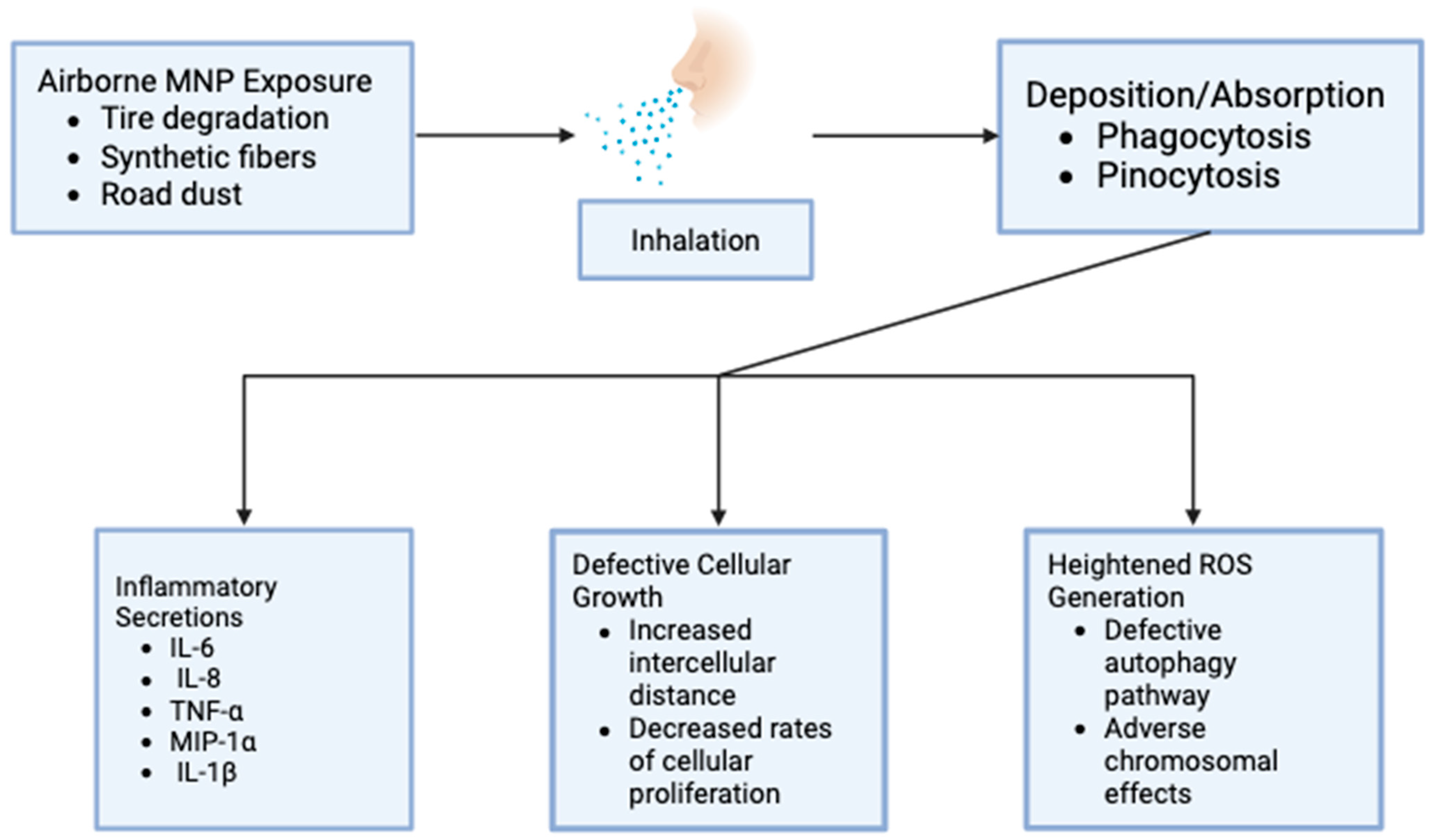 Sinusitis 10 00001 g001 Sinusitis 10 00001 g001