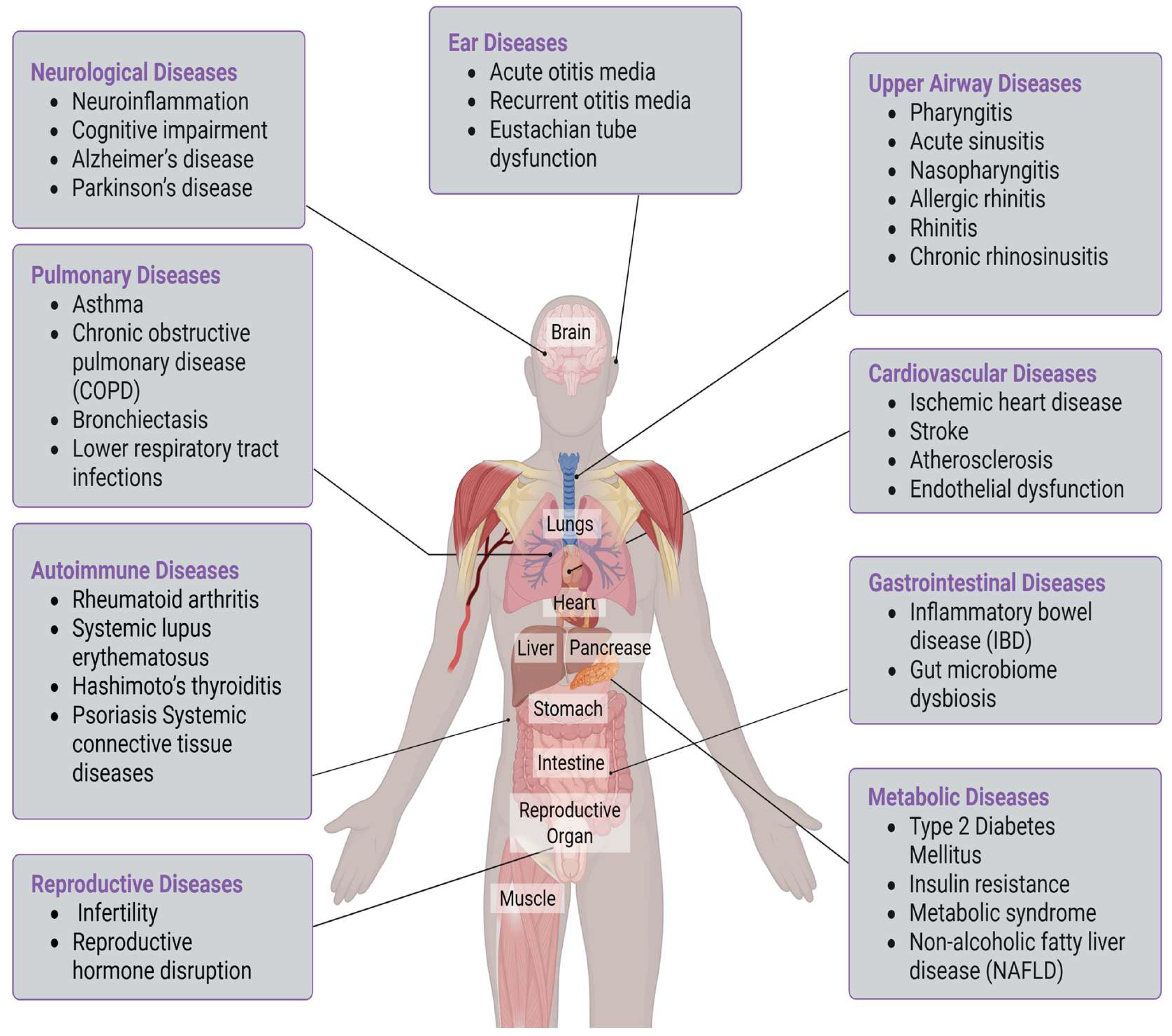 Sinusitis 10 00009 g001