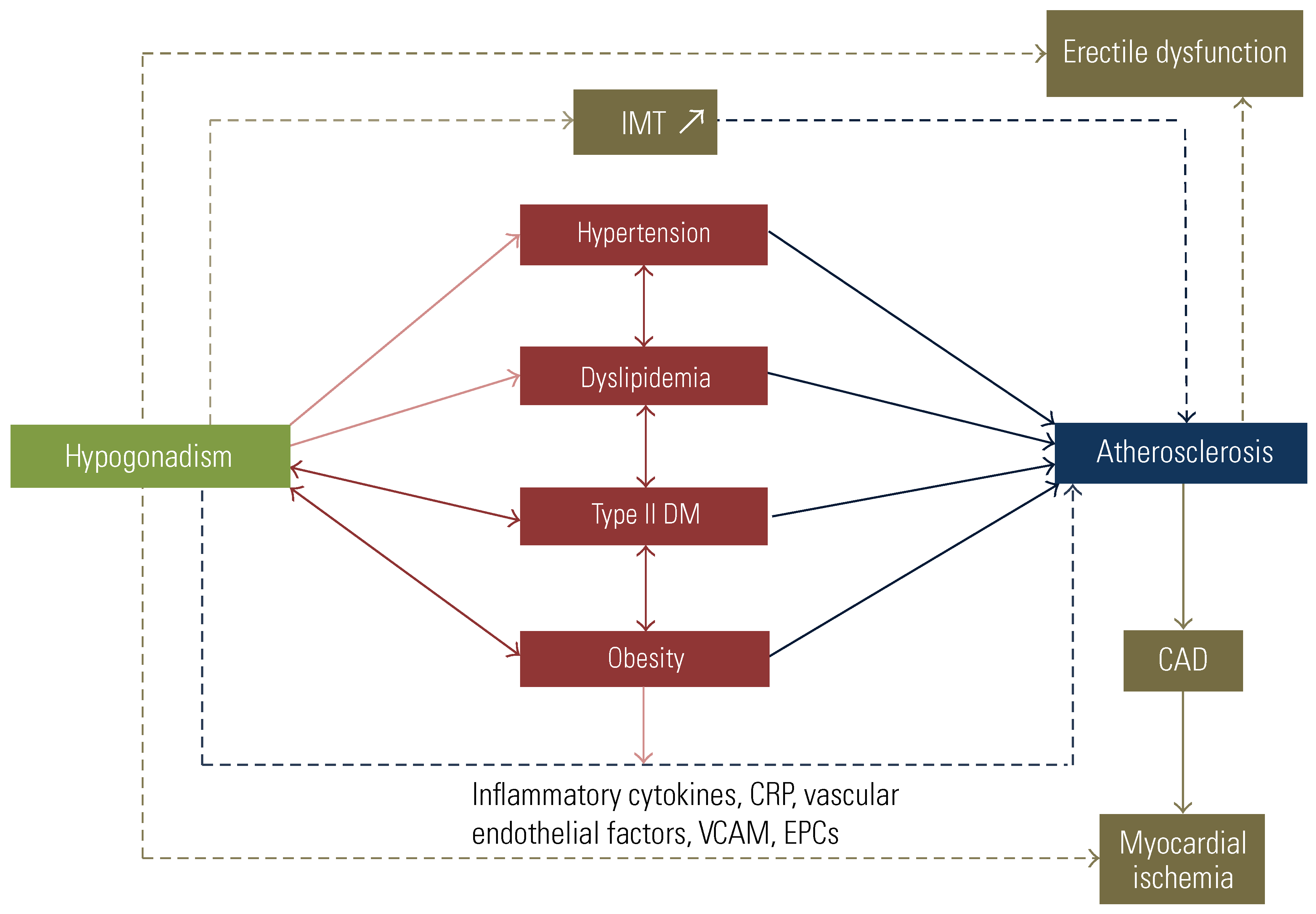 Siuj 03 00259 g002 Siuj 03 00259 g002