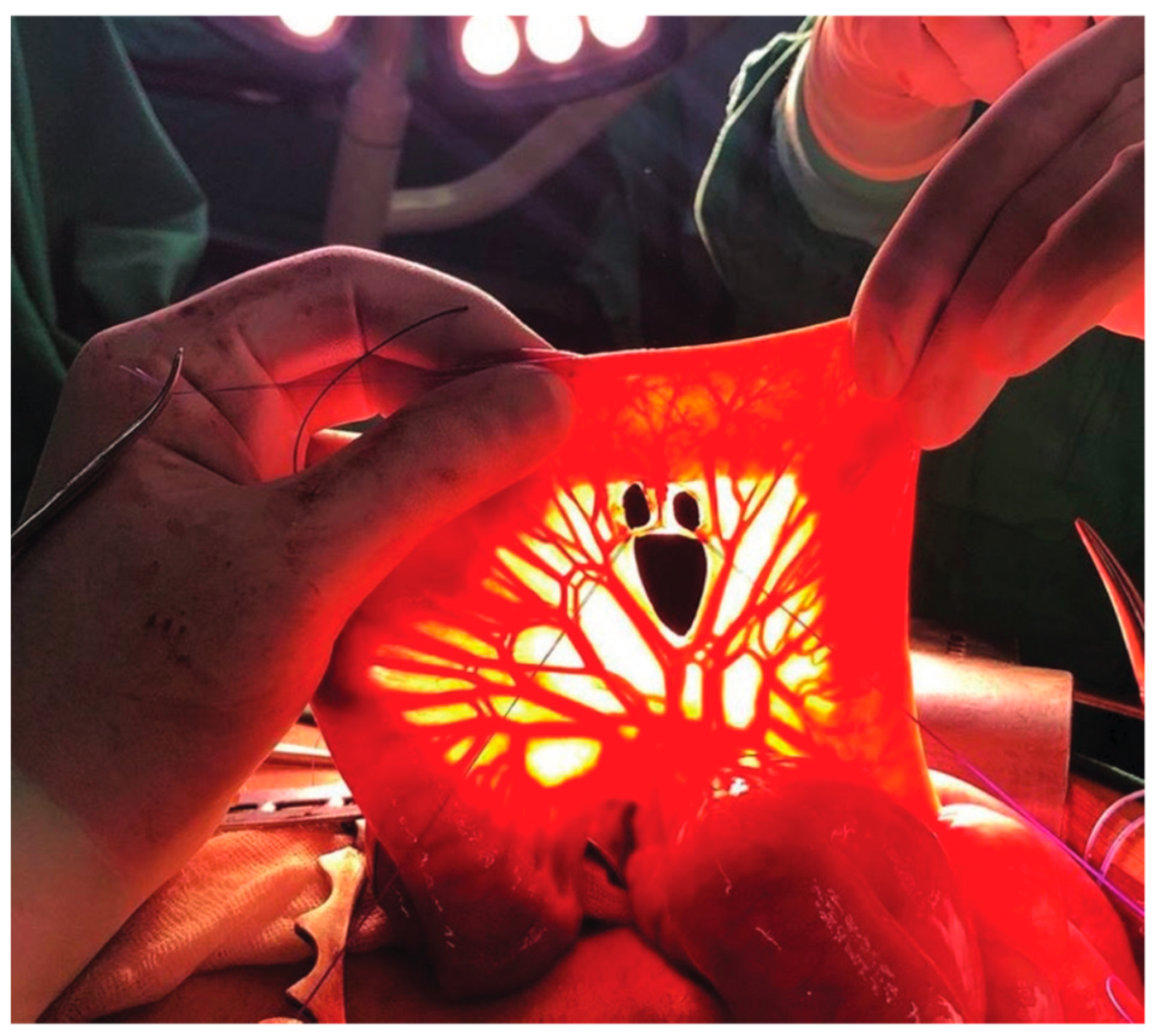 Siuj 04 00195 g001 Siuj 04 00195 g001