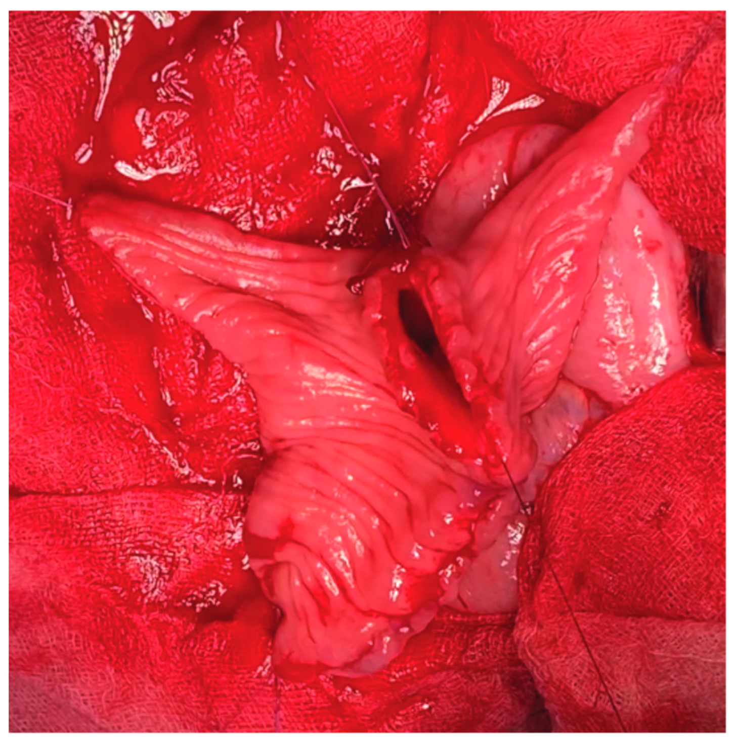 Siuj 04 00195 g003 Siuj 04 00195 g003