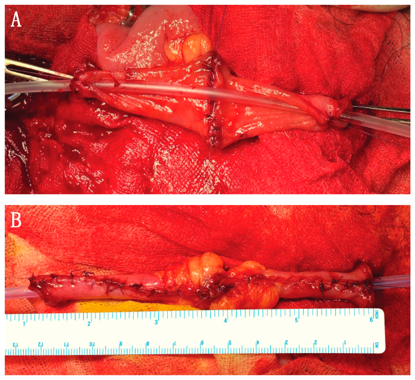 Siuj 04 00195 g006 Siuj 04 00195 g006