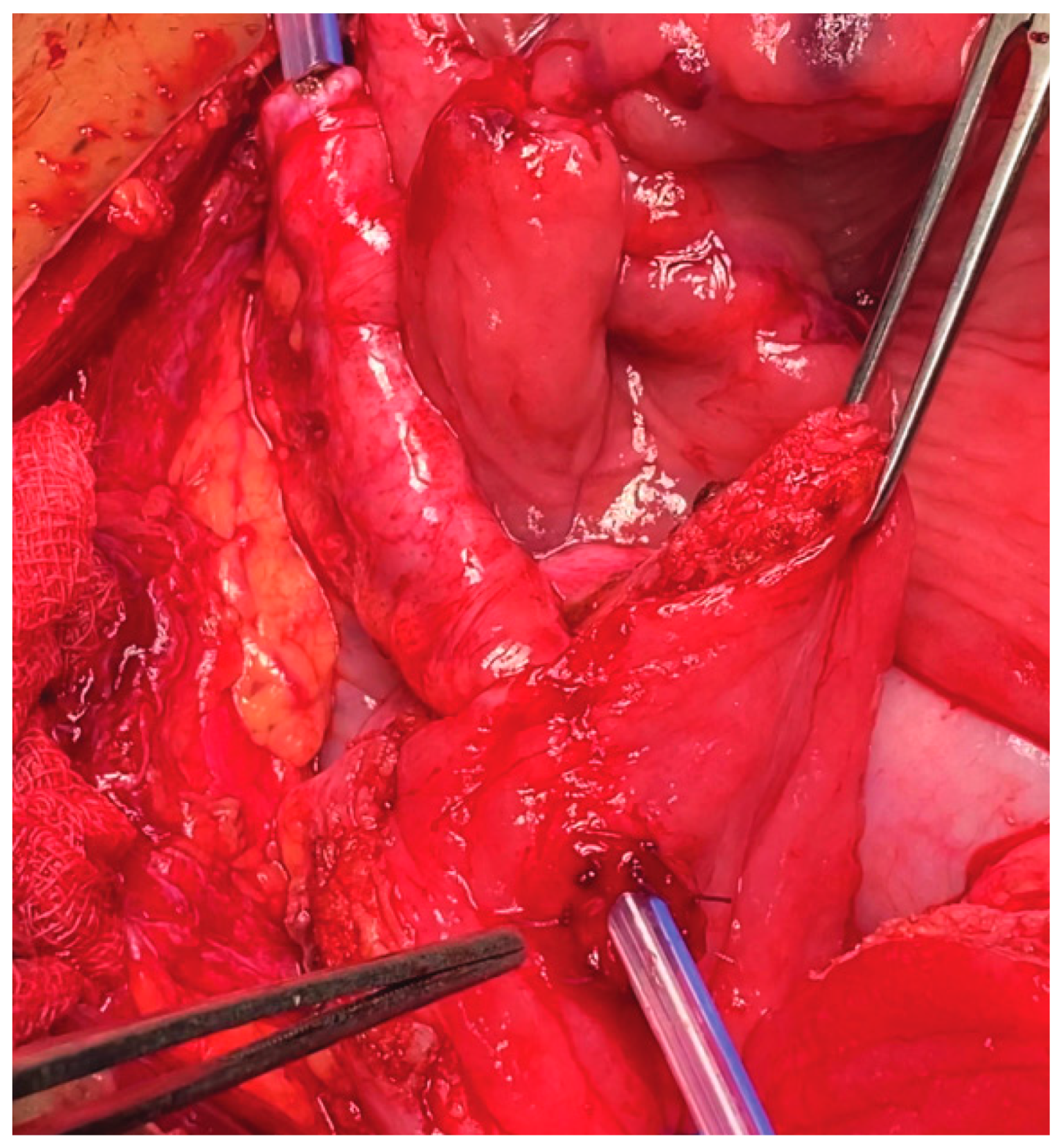 Siuj 04 00195 g007 Siuj 04 00195 g007