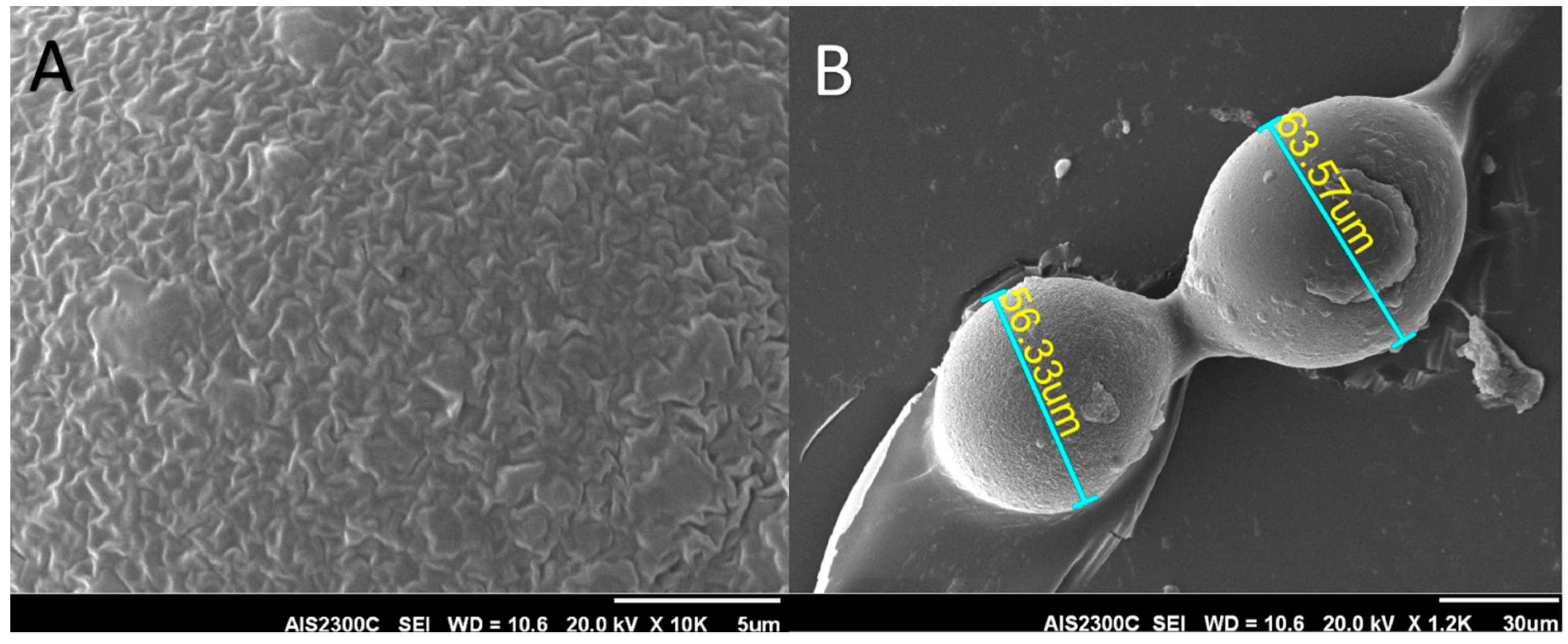 Siuj 05 00007 g002 Siuj 05 00007 g002