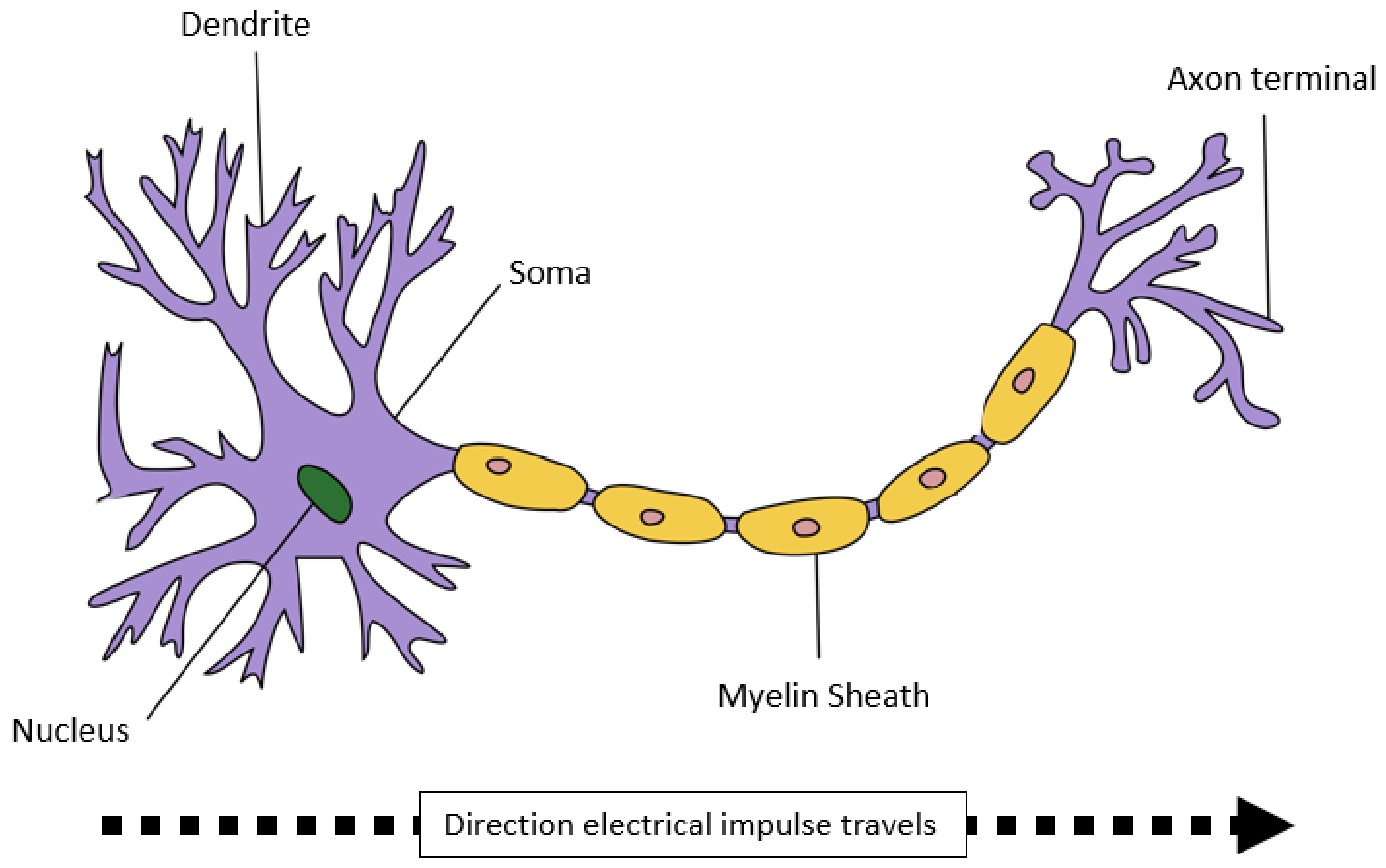 Smartcities 02 00009 g002