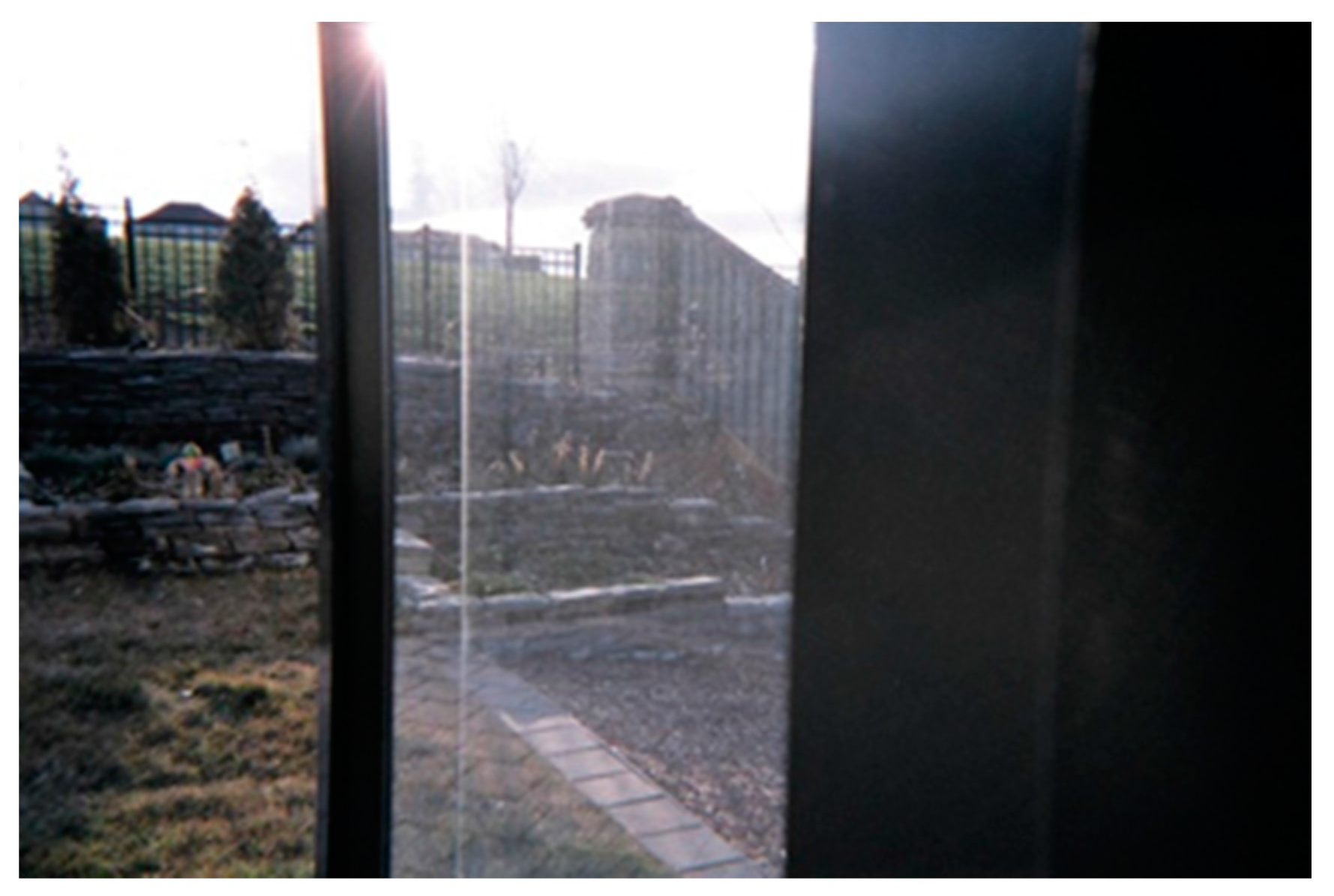 Societies 06 00014 g002