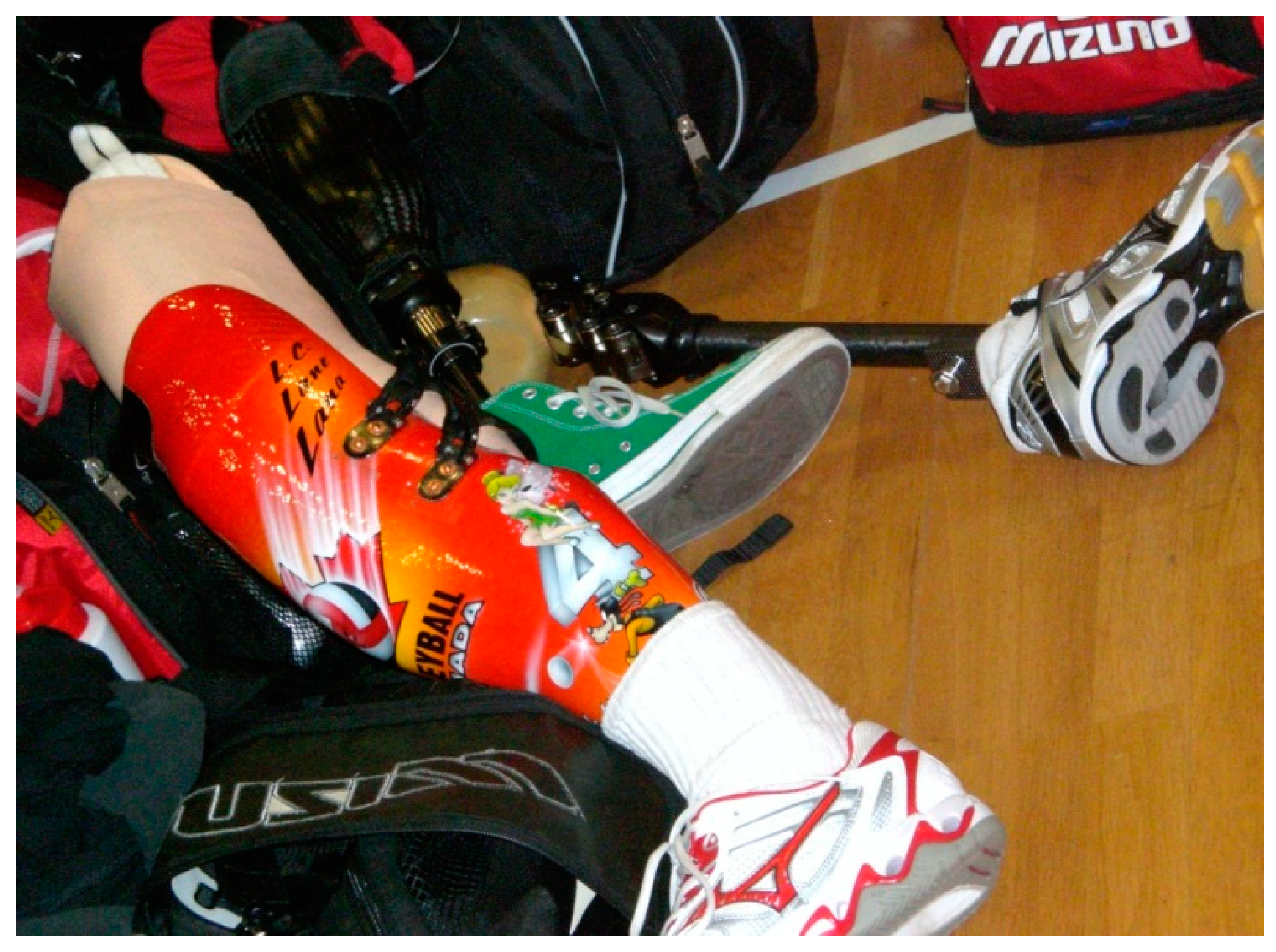 Societies 09 00041 g001 550