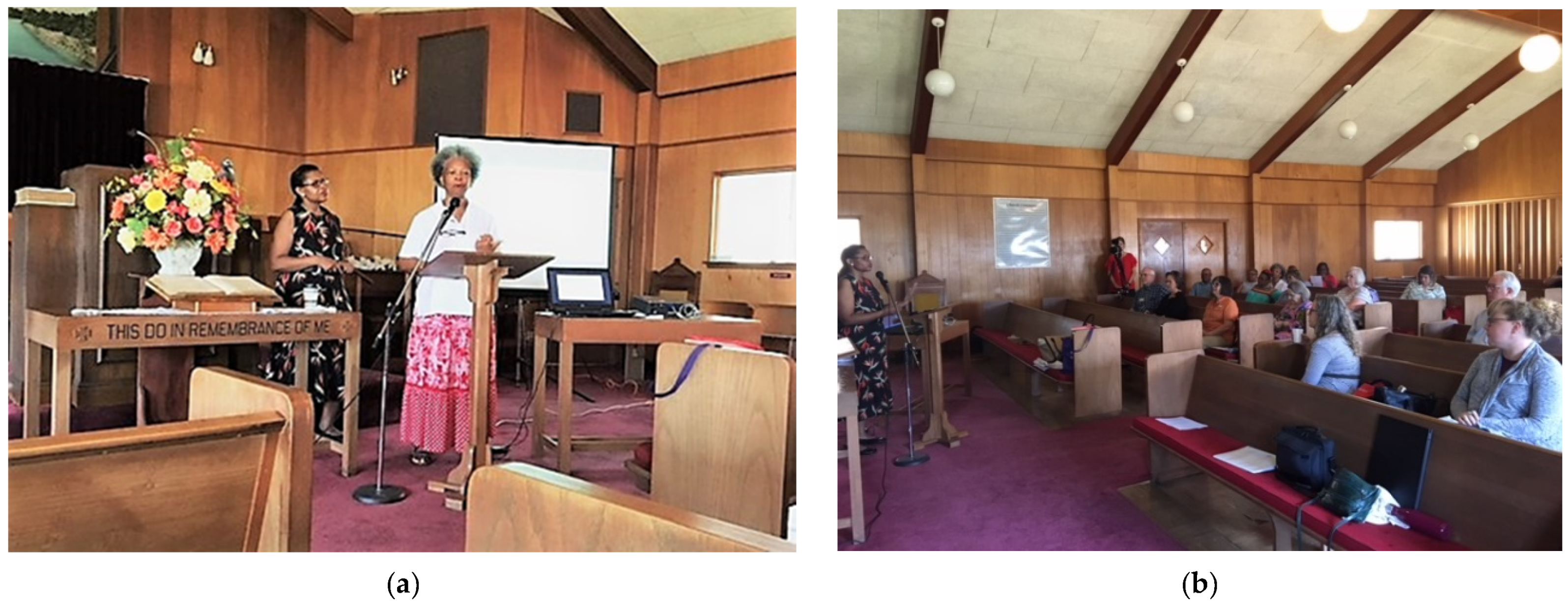 Societies 10 00060 g002