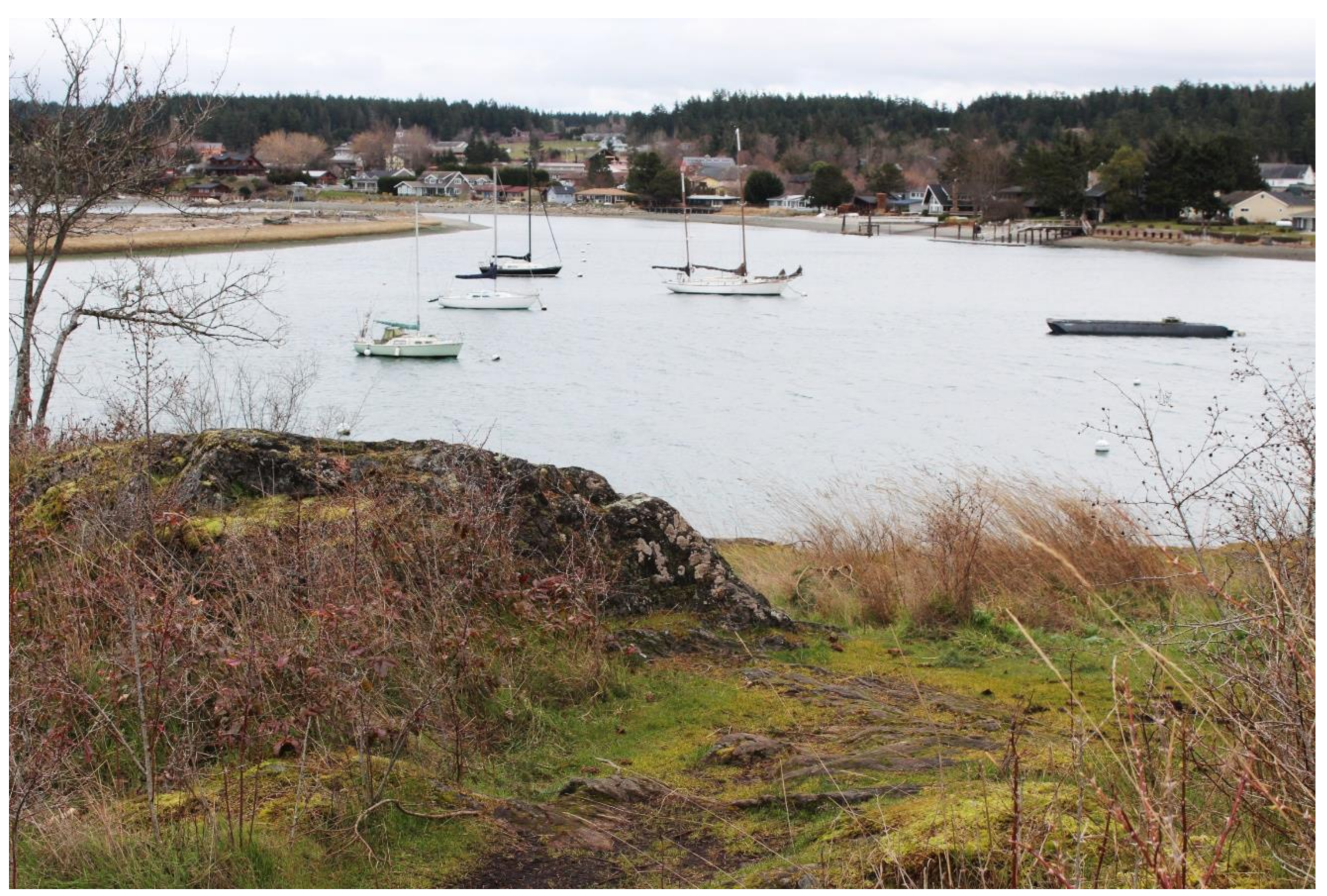 Societies 10 00064 g002 Societies 10 00064 g002