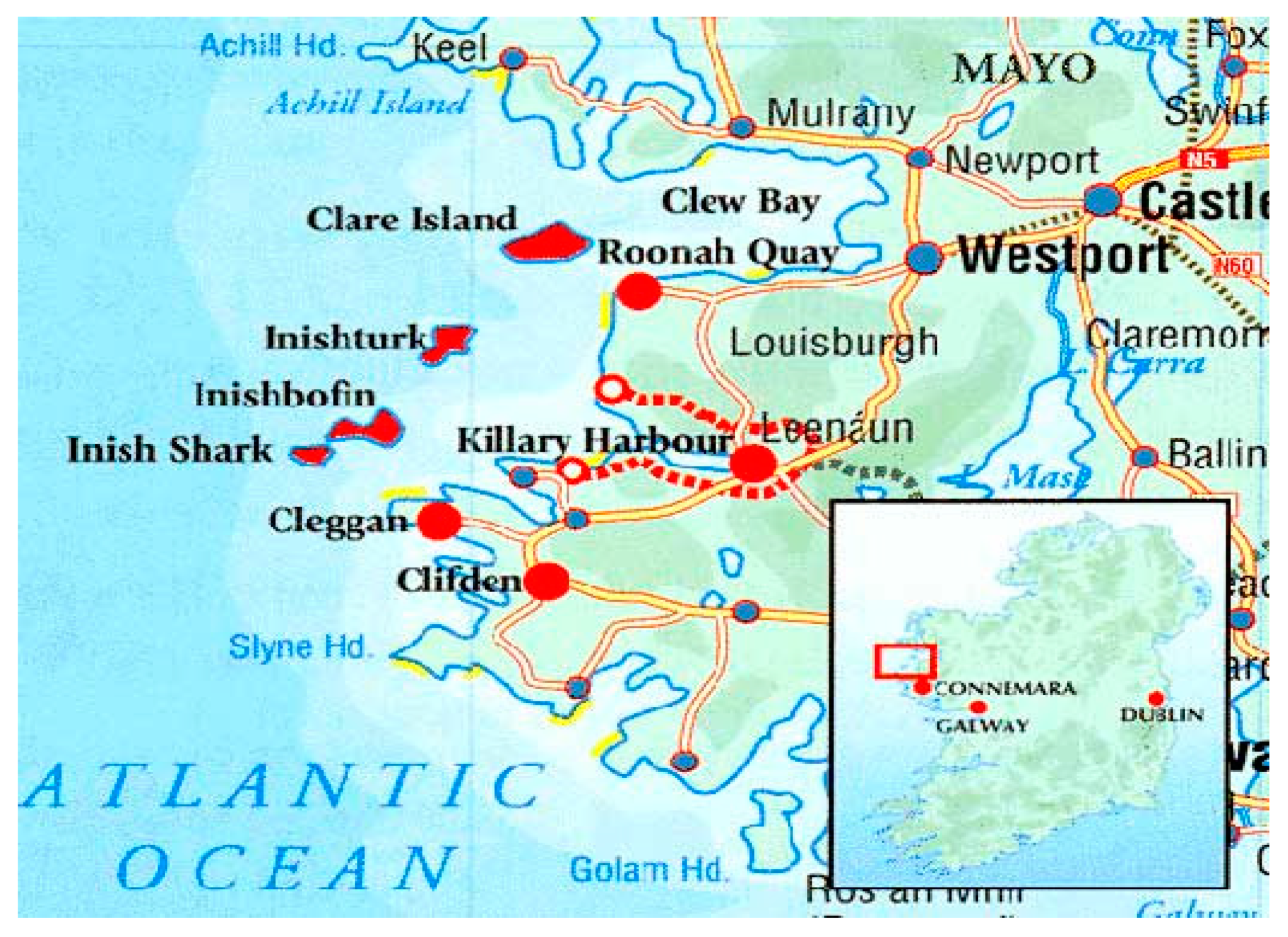 Societies 10 00084 g001