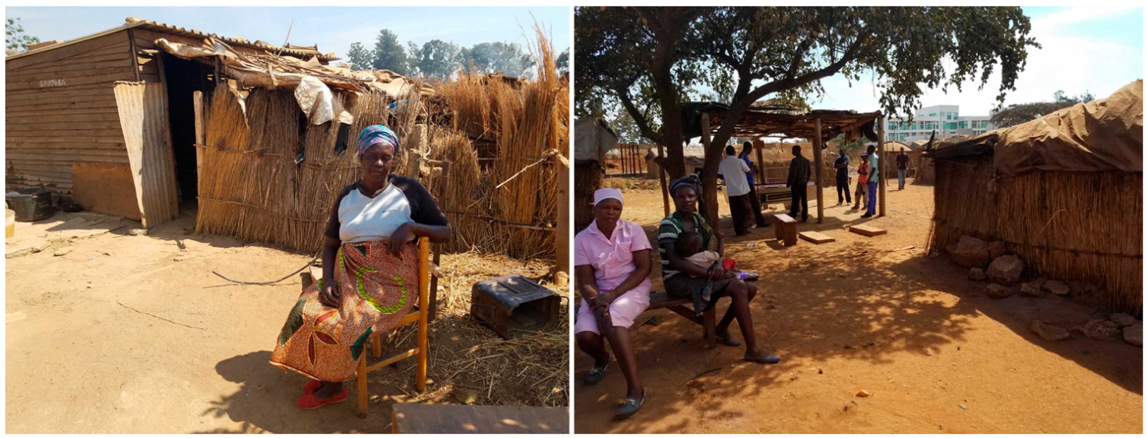 Societies 11 00007 g007 Societies 11 00007 g007