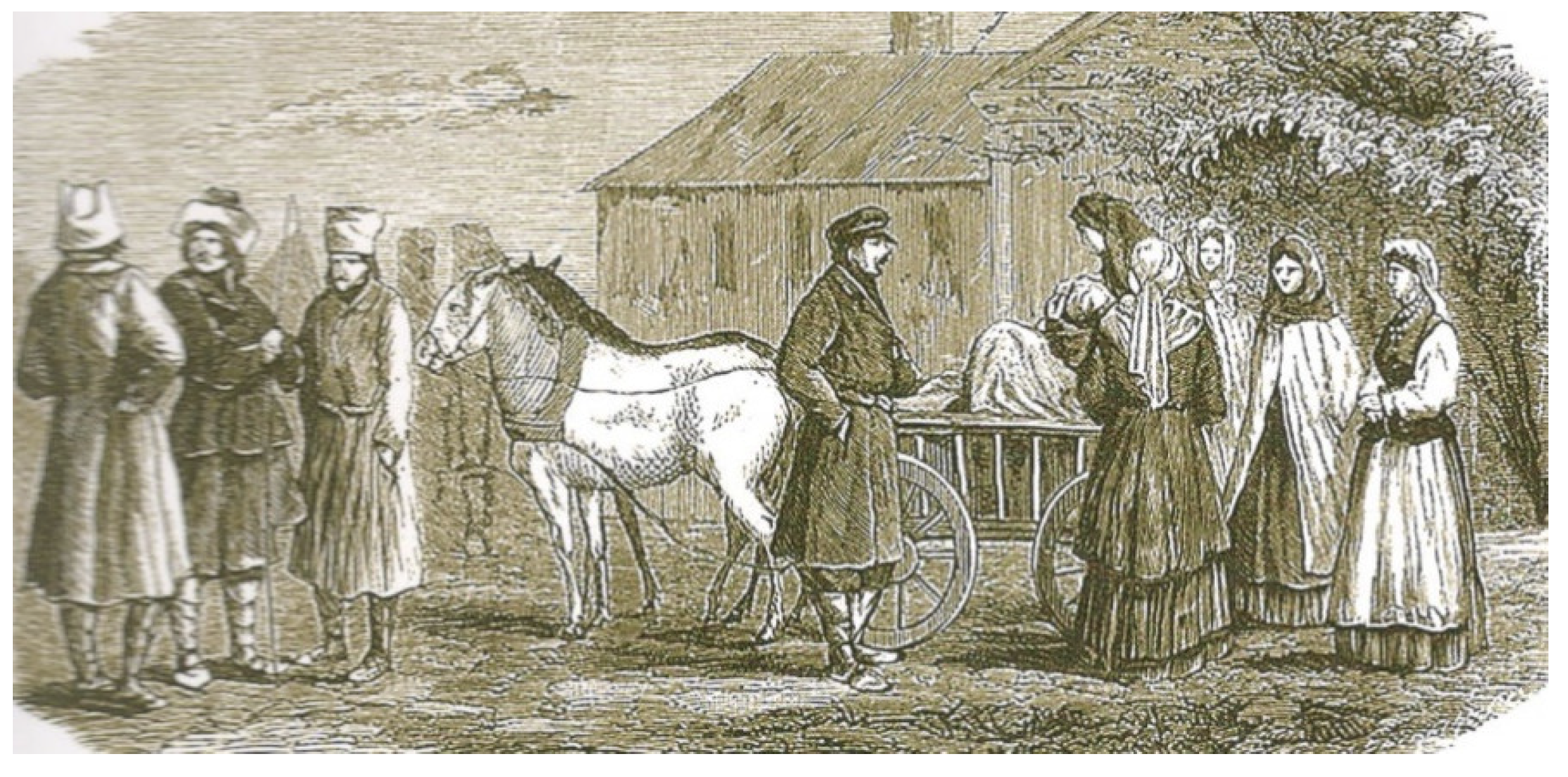 Societies 11 00017 g003