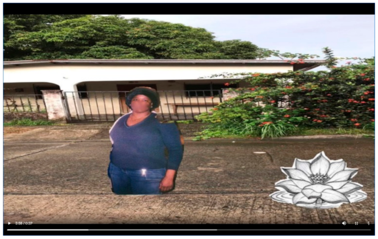 Societies 11 00038 g001