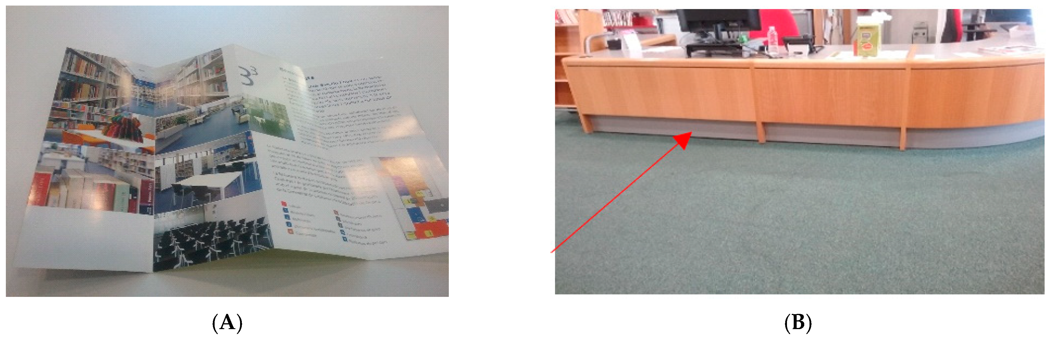 Societies 11 00061 g004a Societies 11 00061 g004a