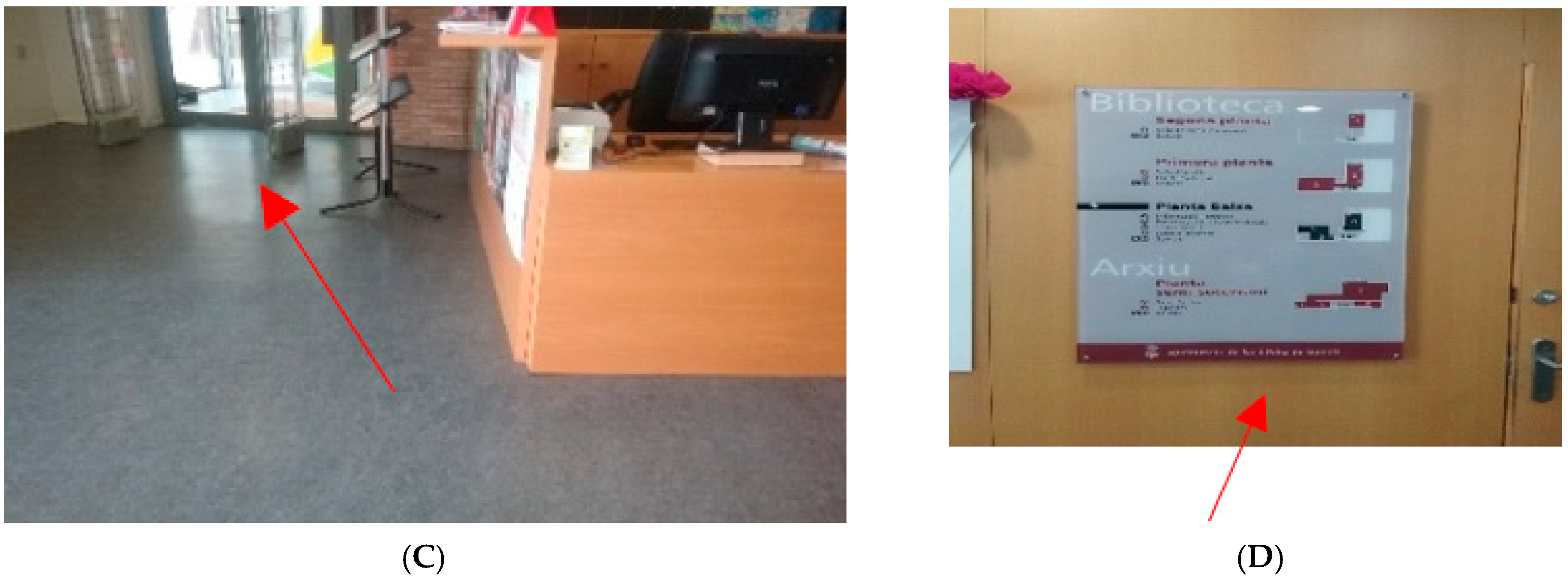 Societies 11 00061 g004b Societies 11 00061 g004b