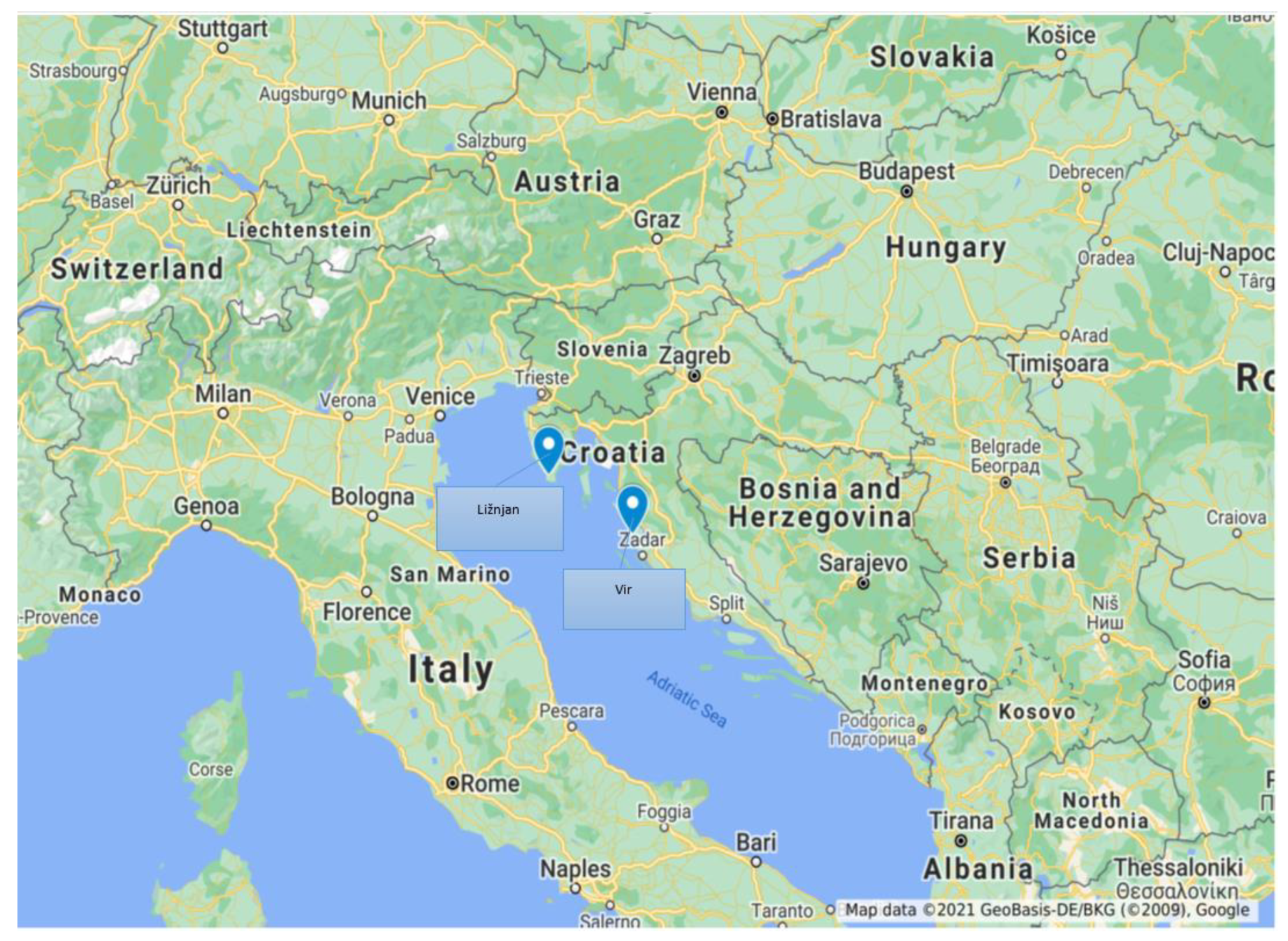 Societies 11 00079 g001 550