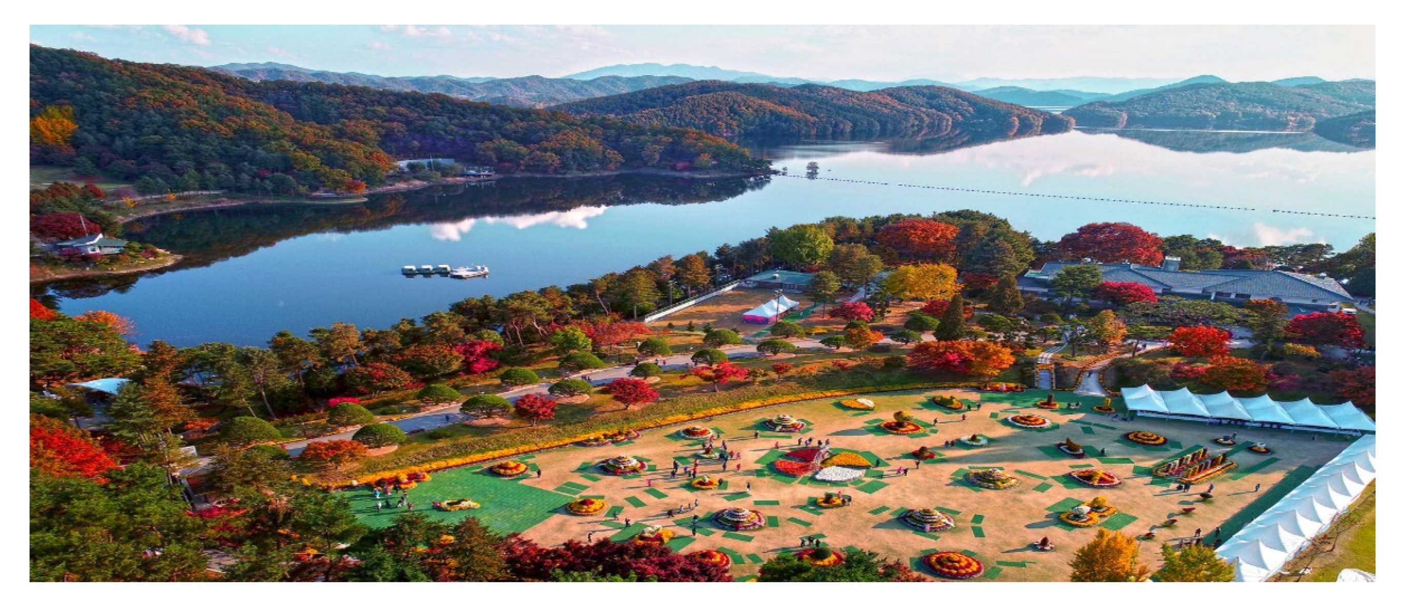 Societies 11 00104 g001