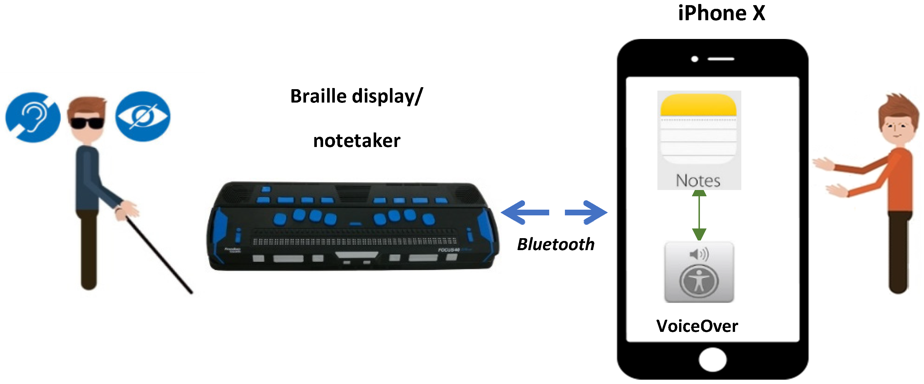 Societies 11 00131 g002