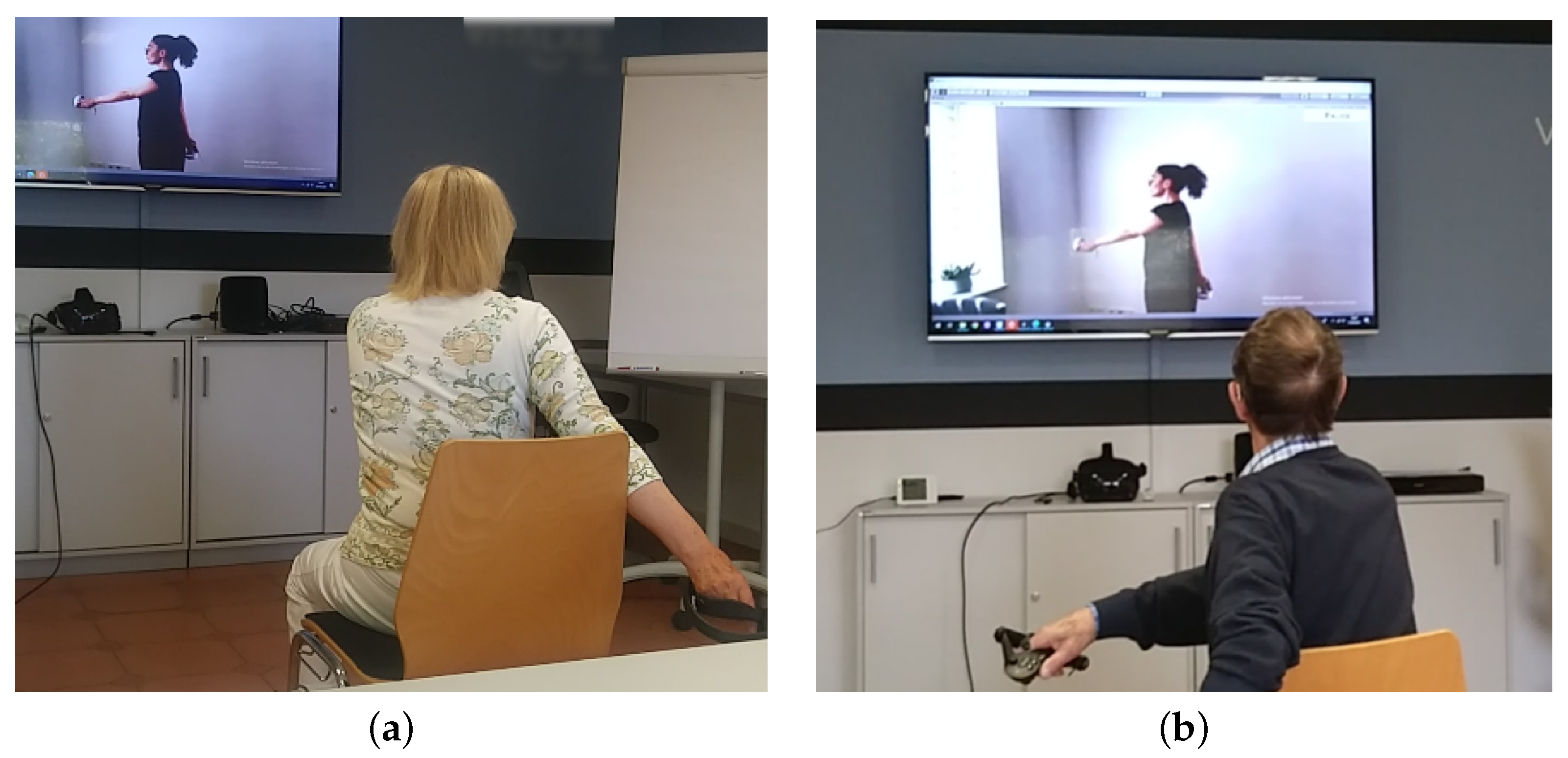 Societies 11 00134 g006