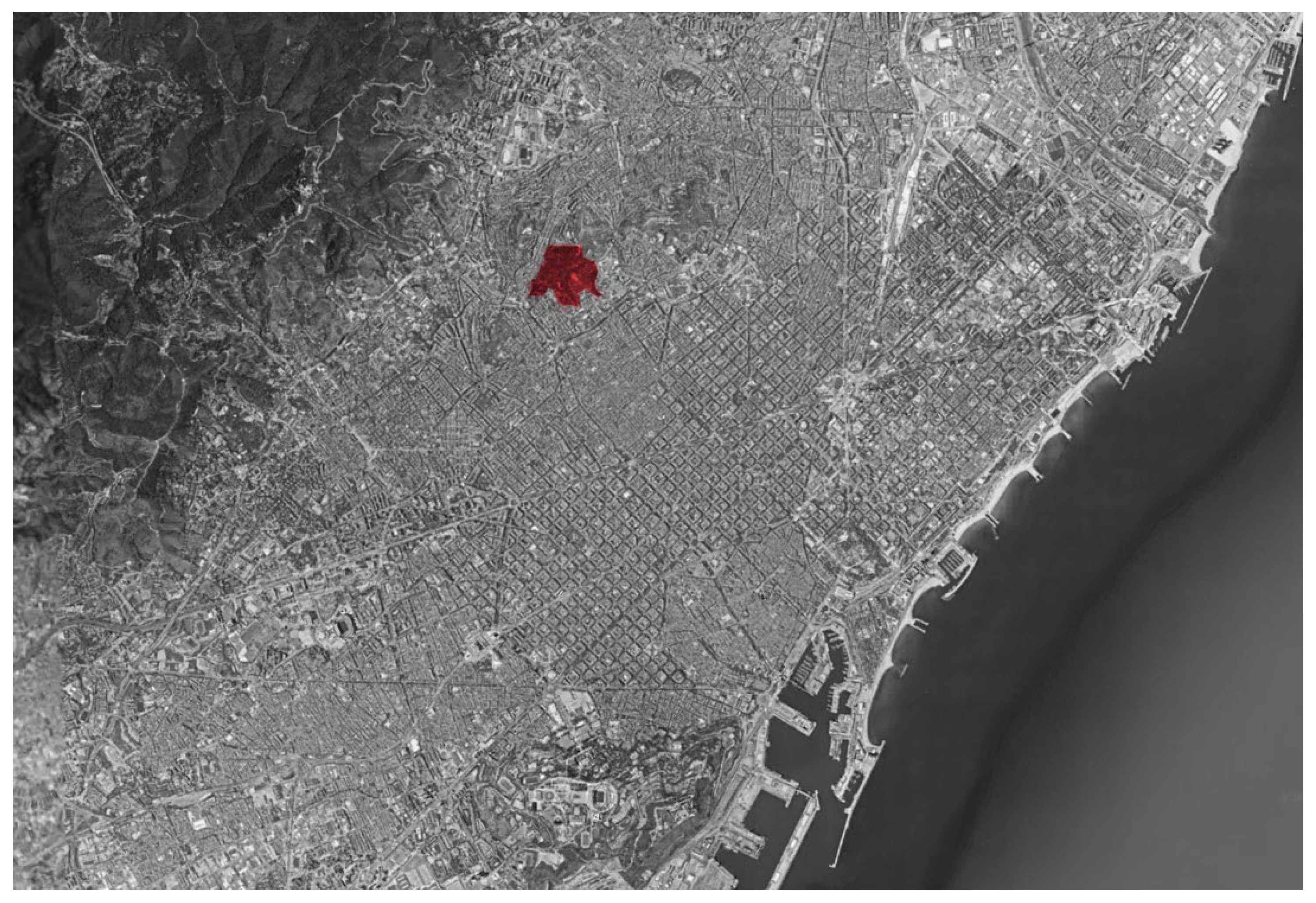 Societies 12 00111 g001 Societies 12 00111 g001