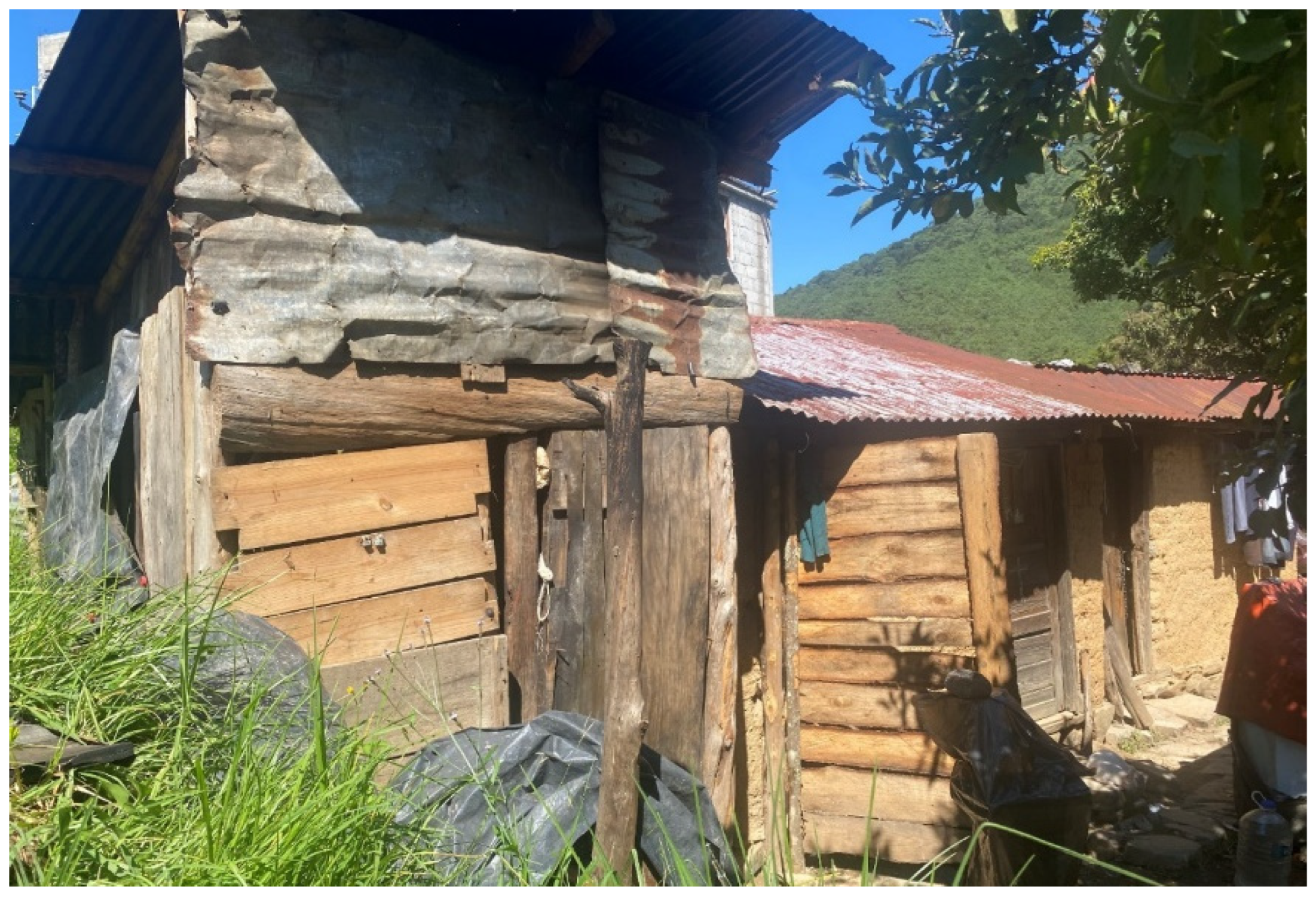 Societies 13 00105 g008