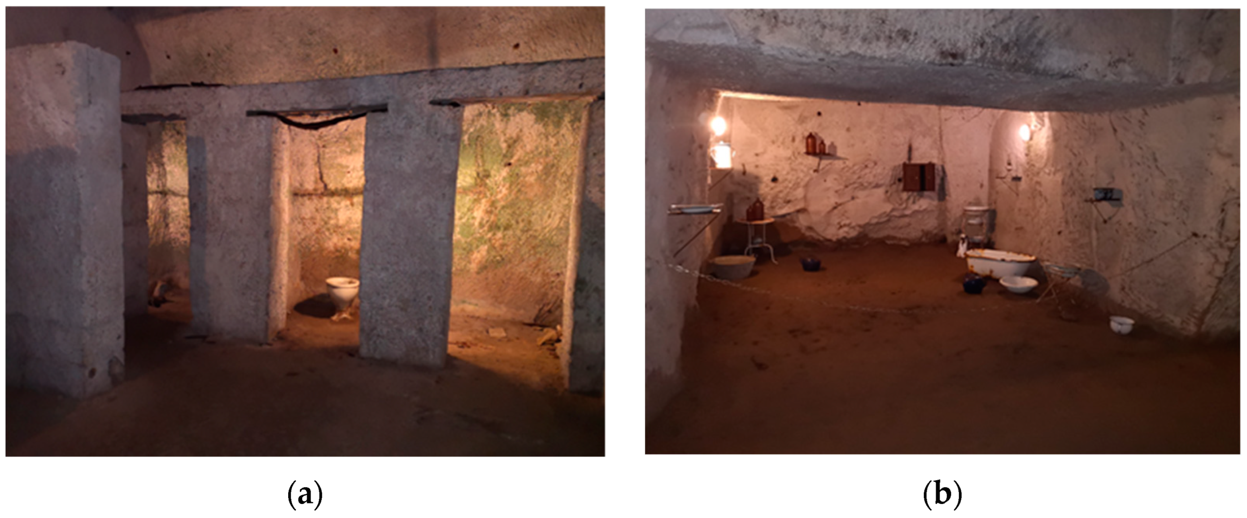 Societies 13 00130 g007