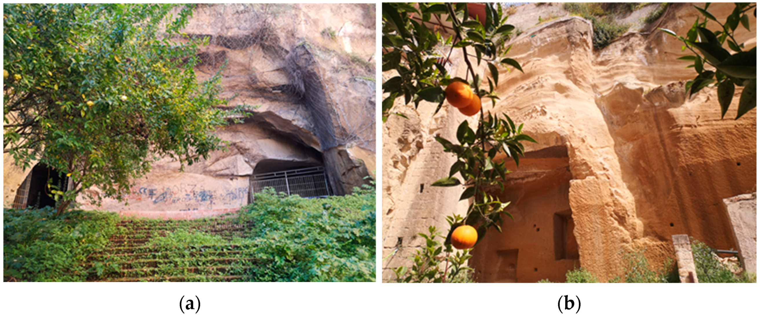 Societies 13 00130 g008