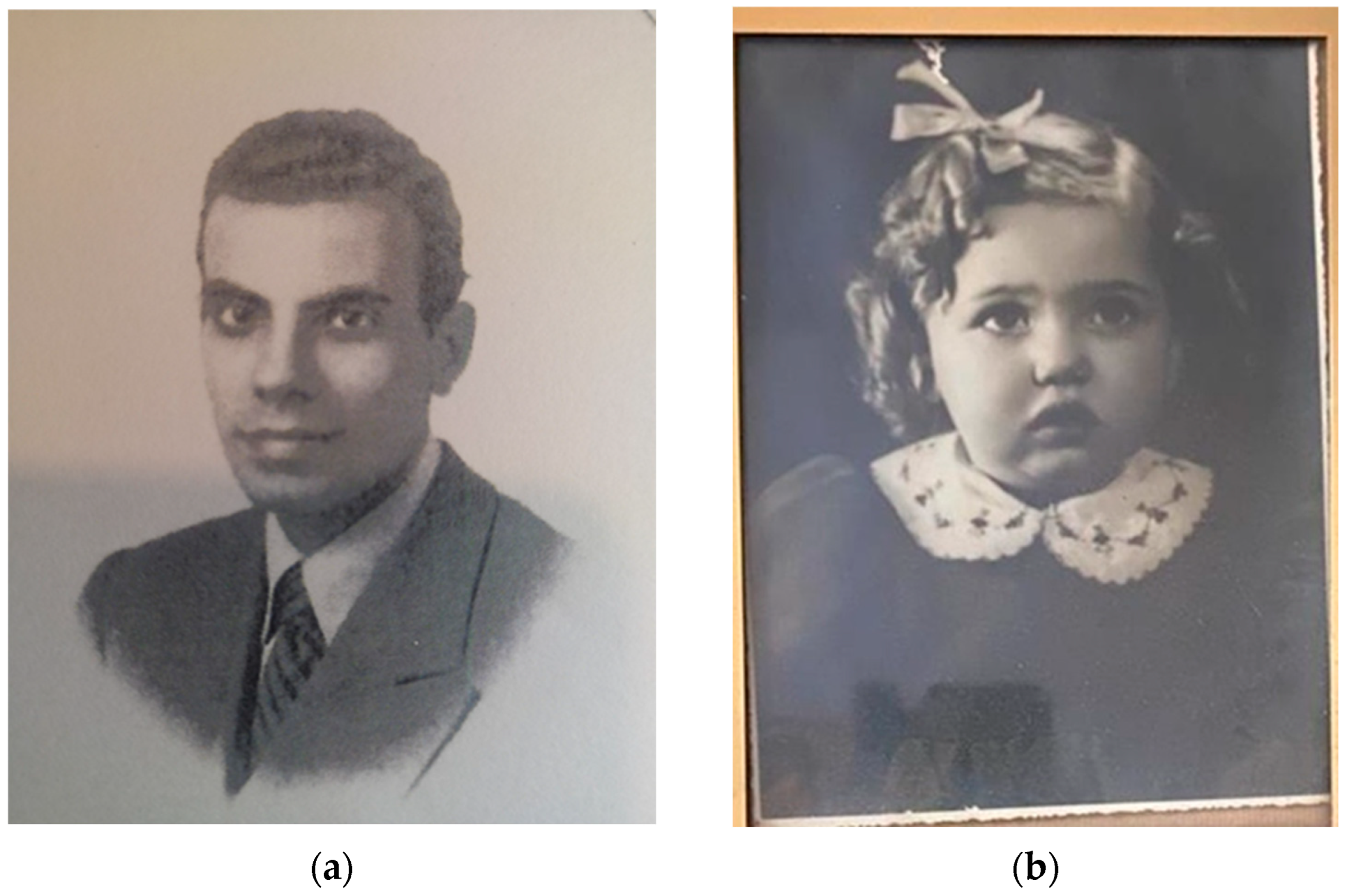 Societies 13 00130 g013