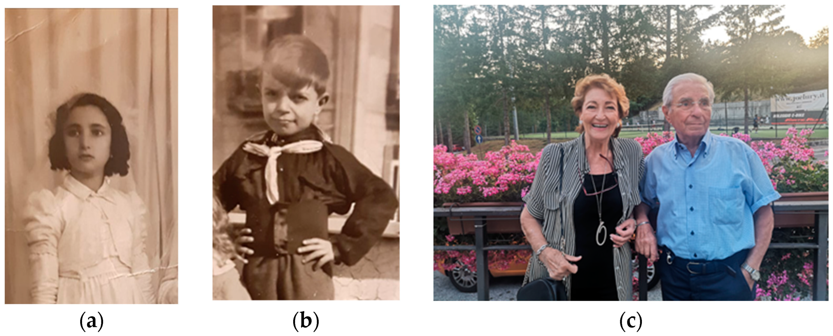 Societies 13 00130 g016