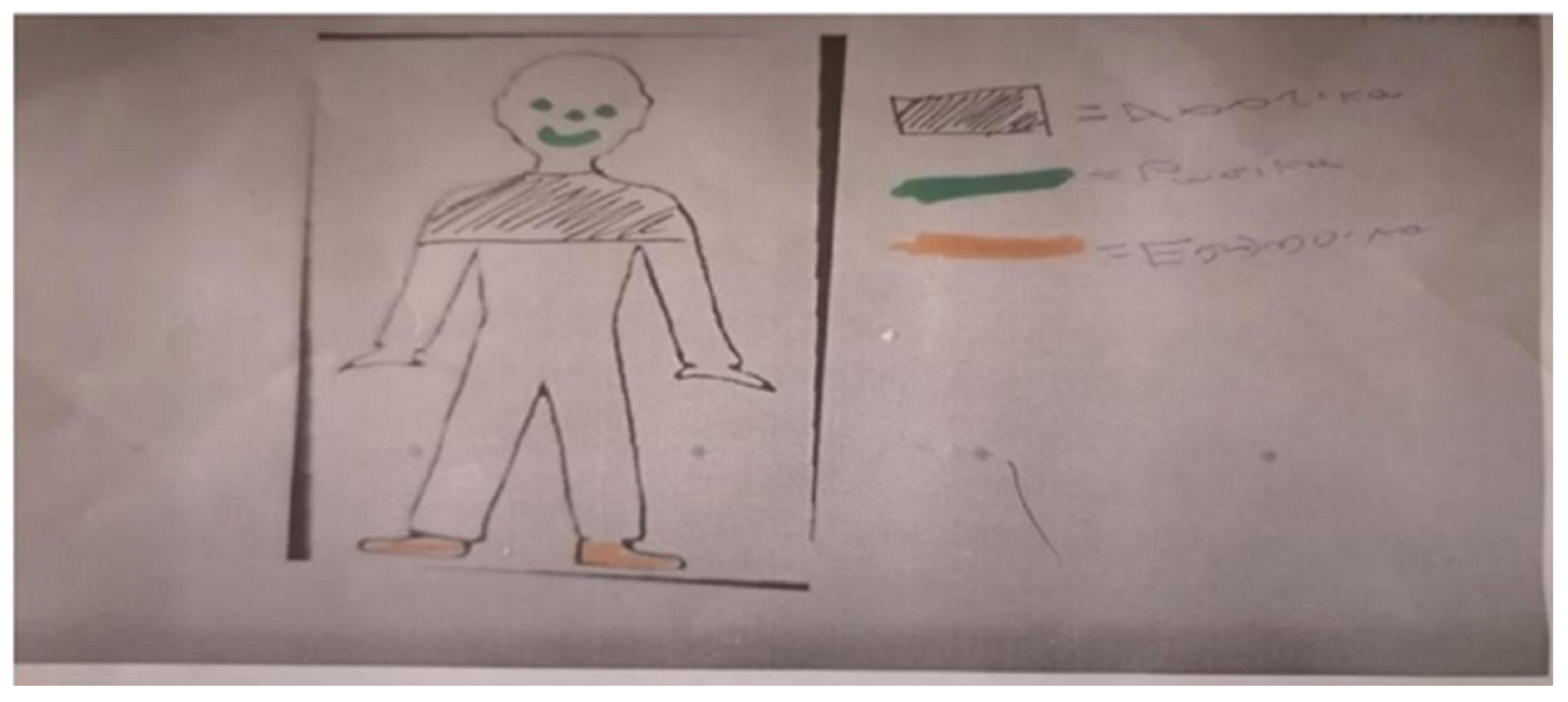 Societies 13 00153 g002