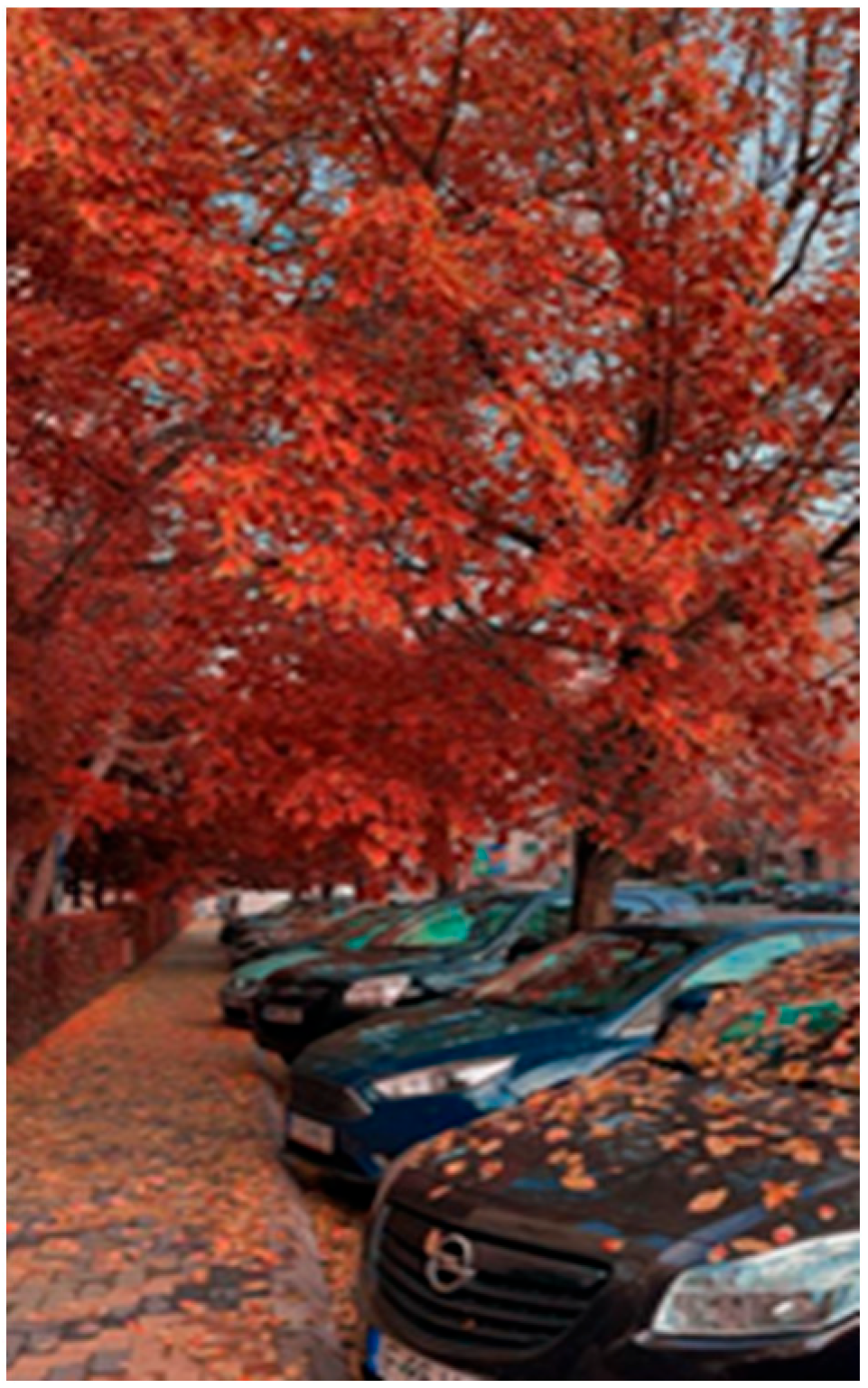 Societies 13 00198 g002