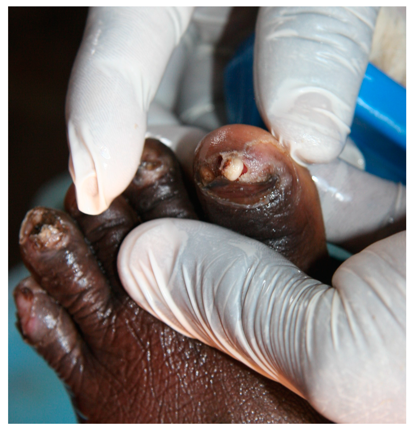 Societies 14 00028 g001