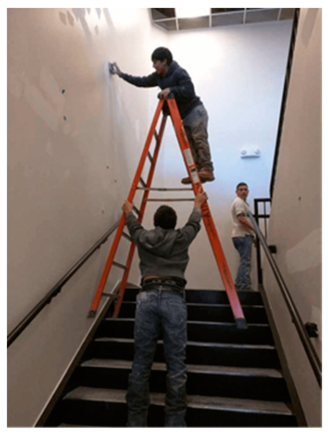 Societies 14 00035 g003