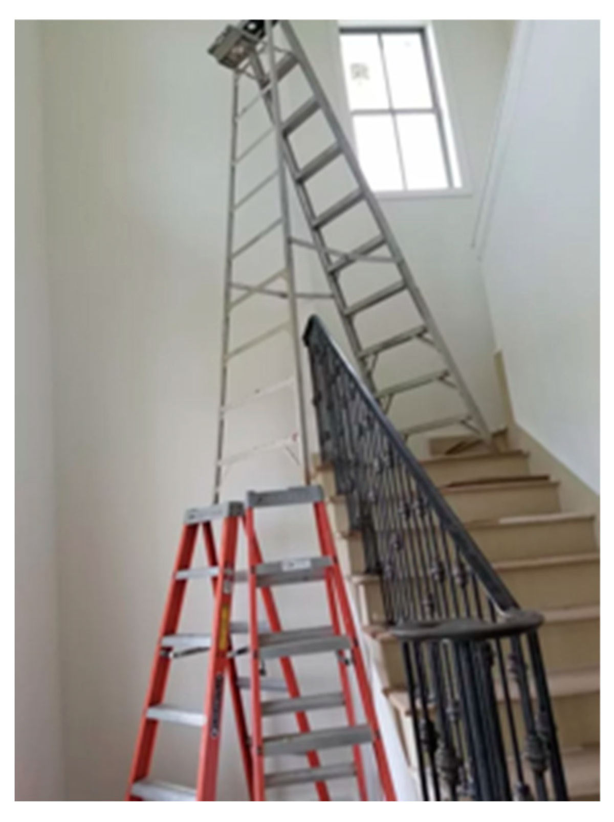 Societies 14 00035 g005