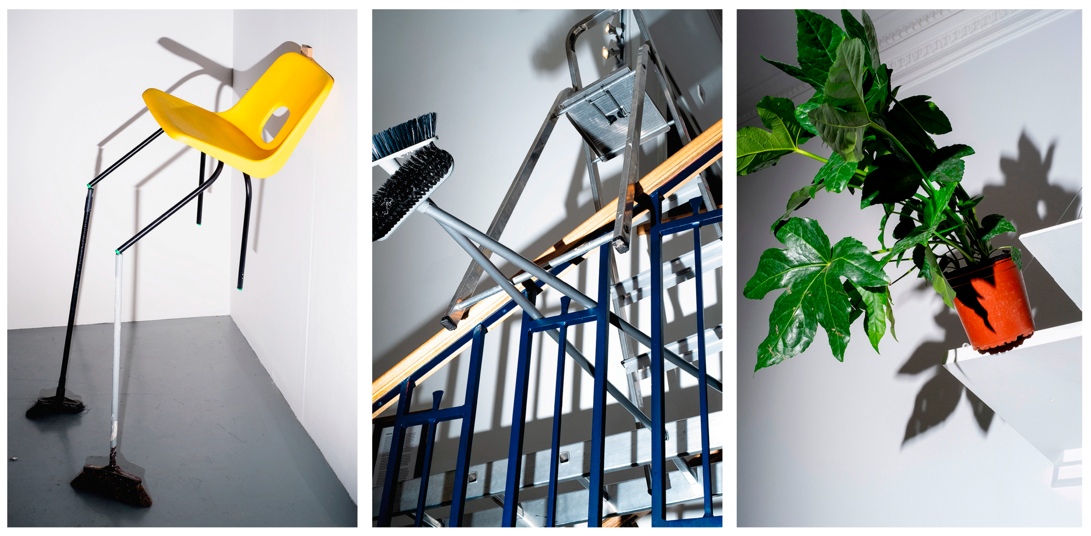 Societies 14 00035 g006