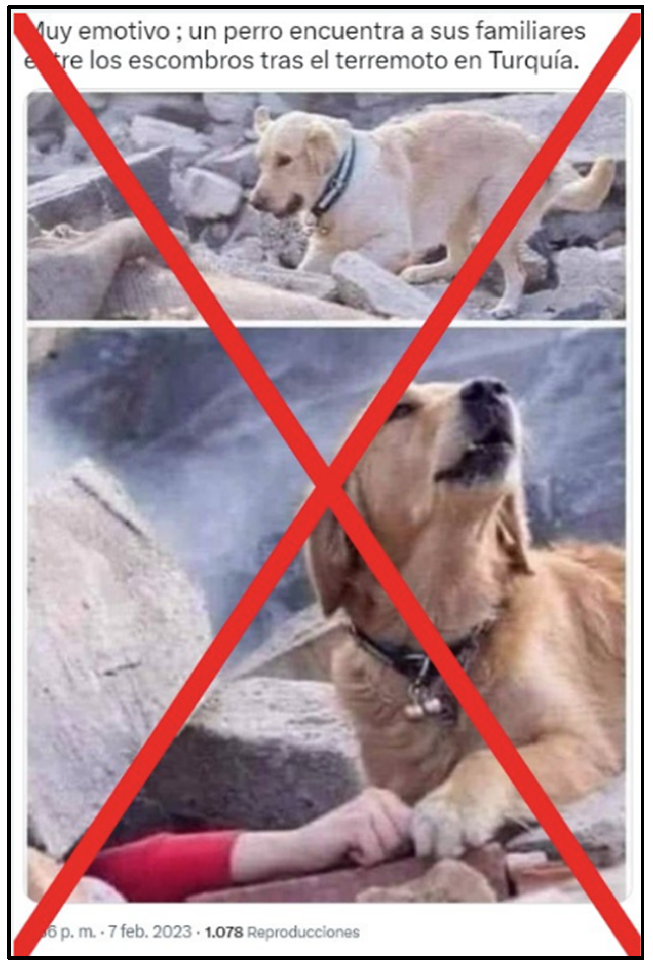 Societies 14 00043 im001