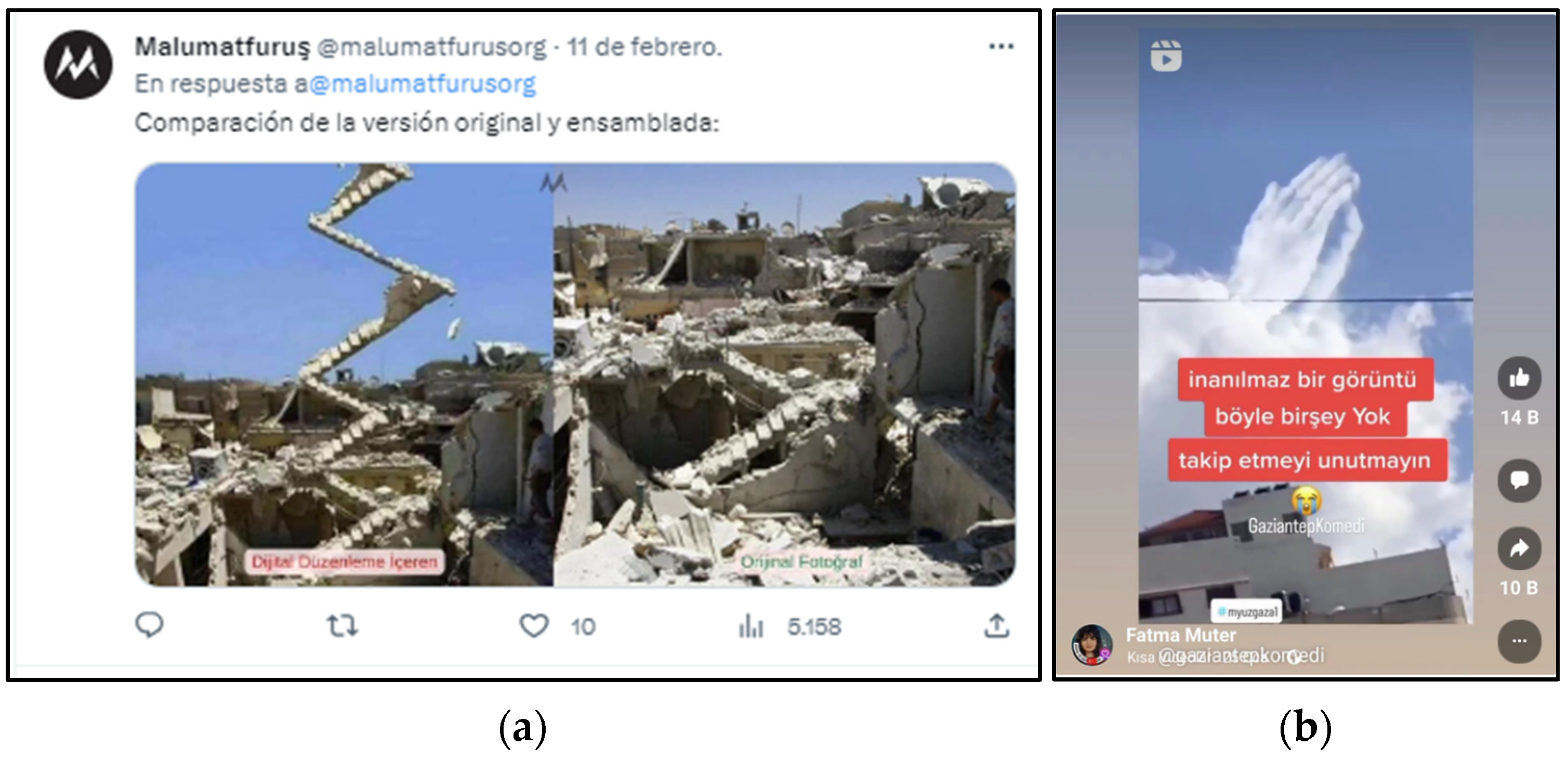 Societies 14 00043 im003