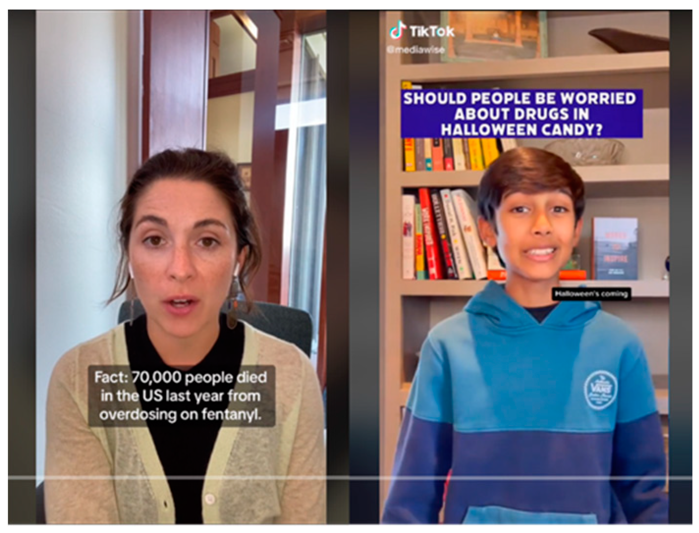 Societies 14 00059 g002