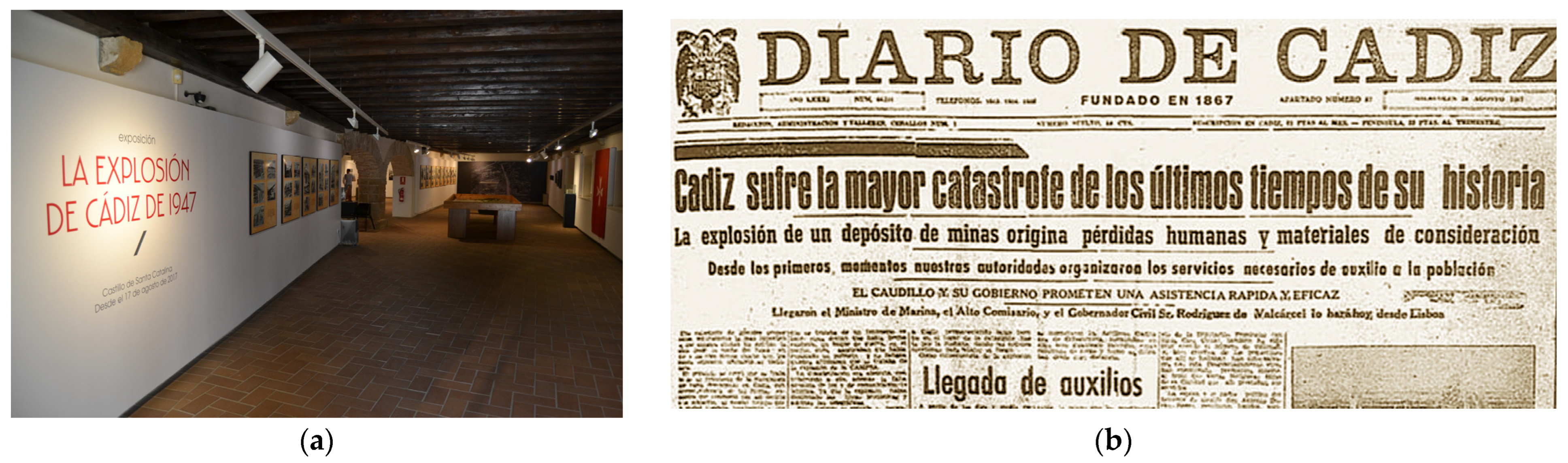 Societies 14 00096 g002