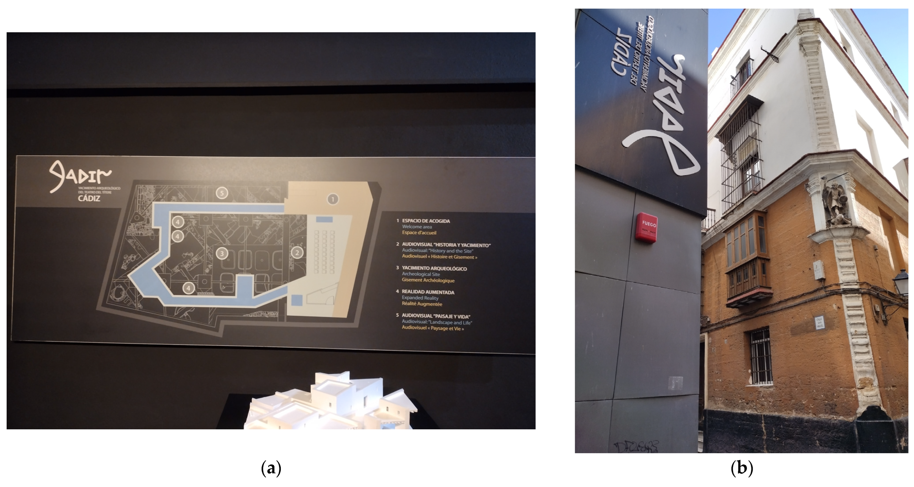 Societies 14 00096 g003