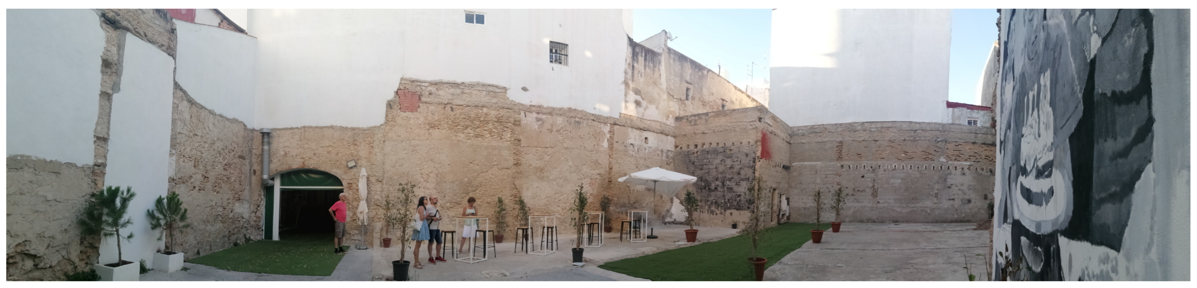 Societies 14 00096 g006