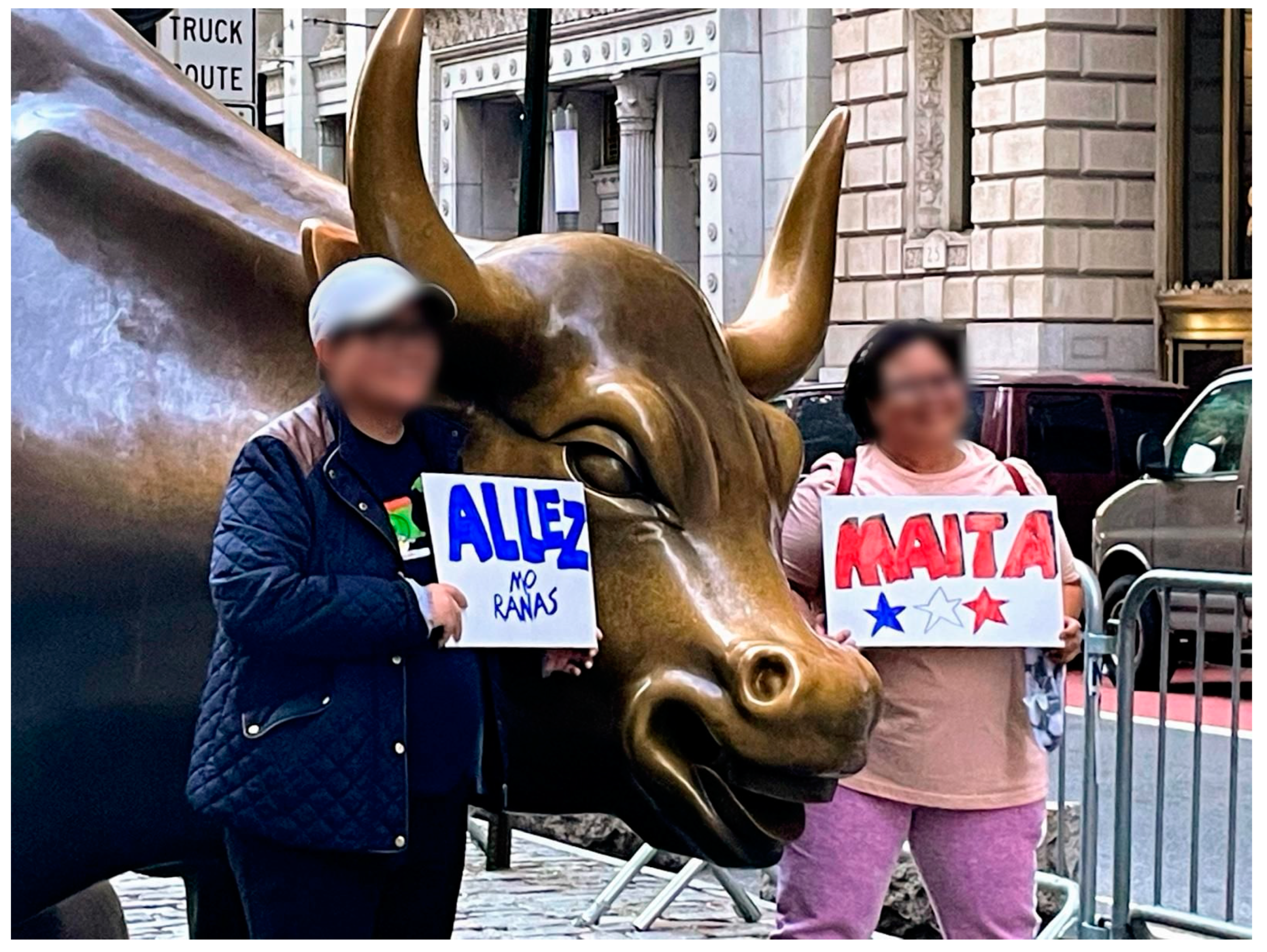 Societies 14 00097 g006