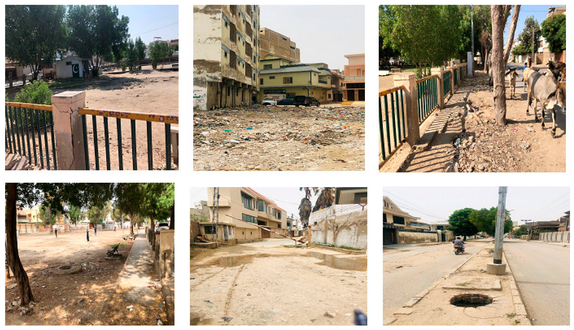 Societies 14 00161 g006